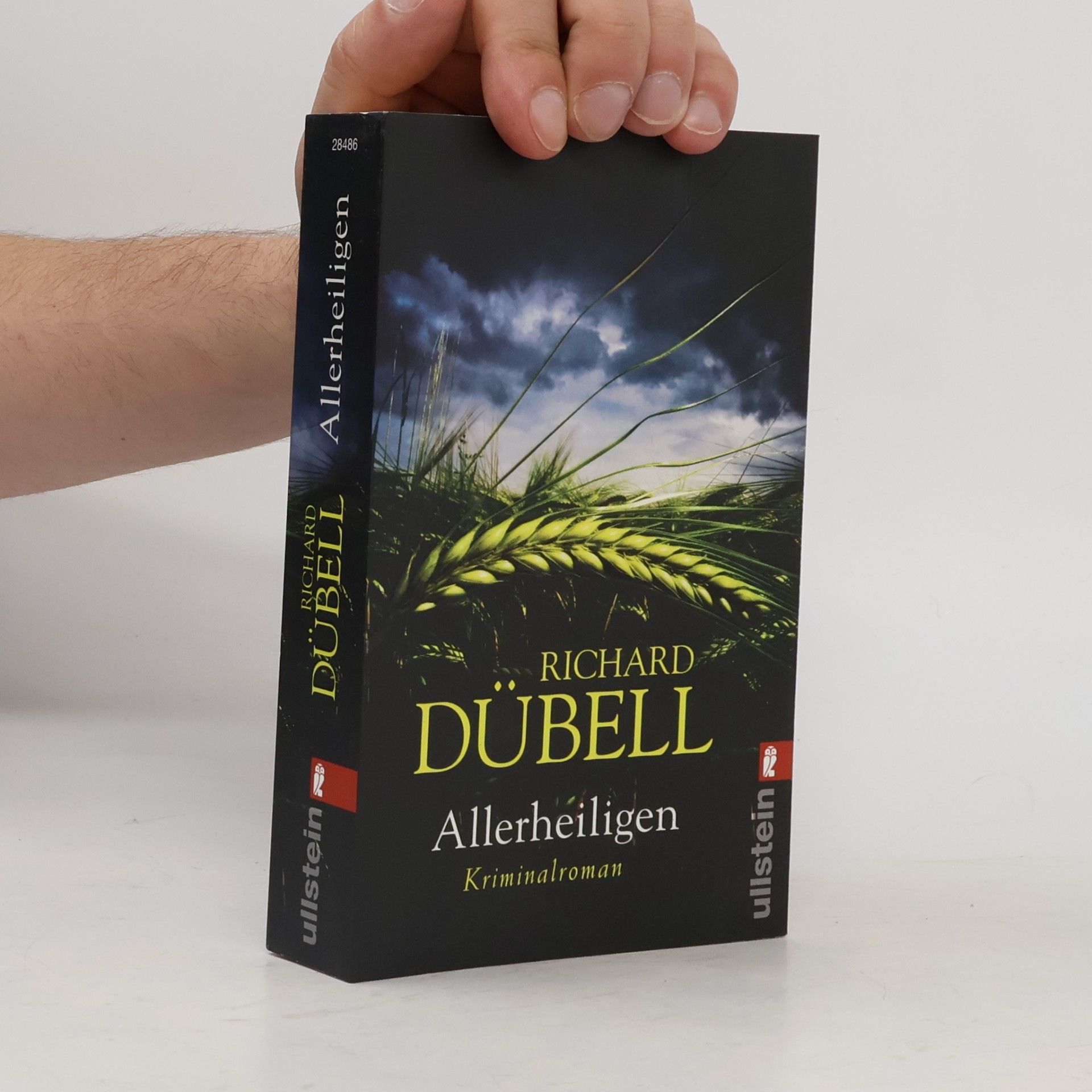 Richard Dübell Allerheiligen