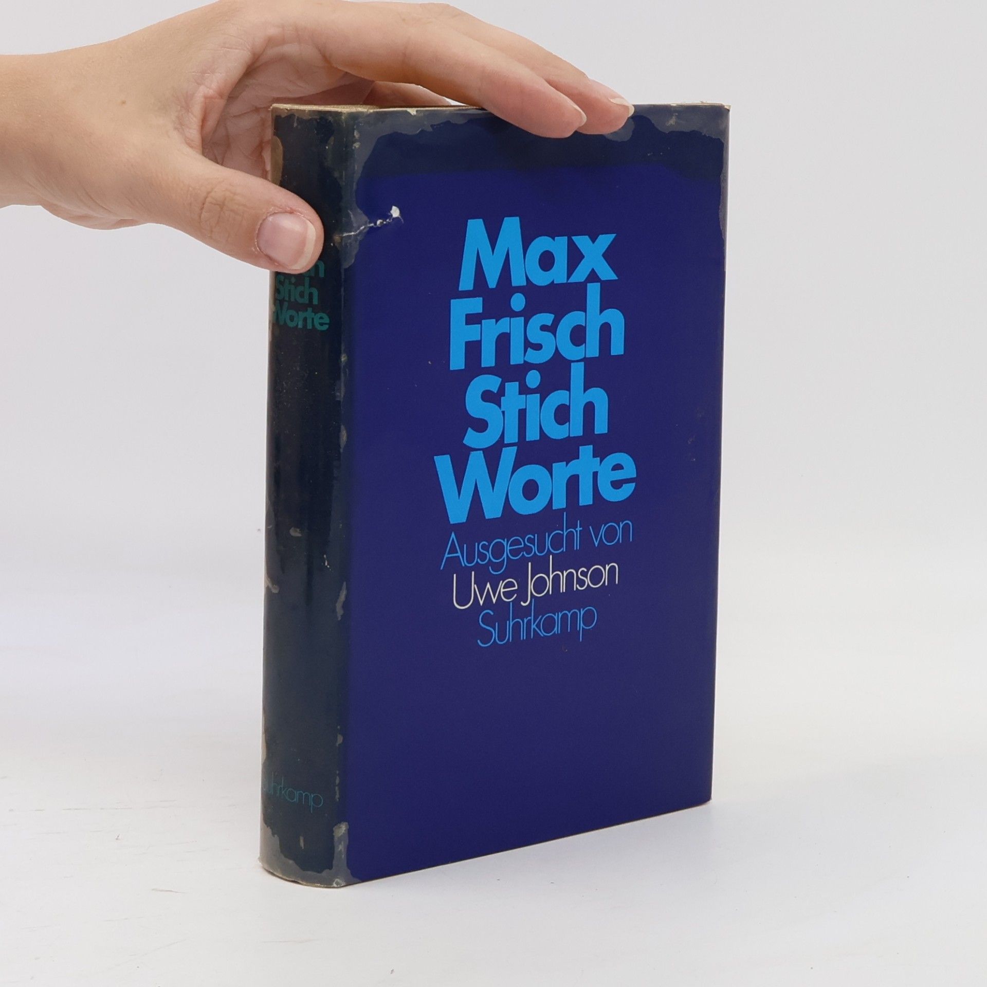 Max Frisch Stich-Worte