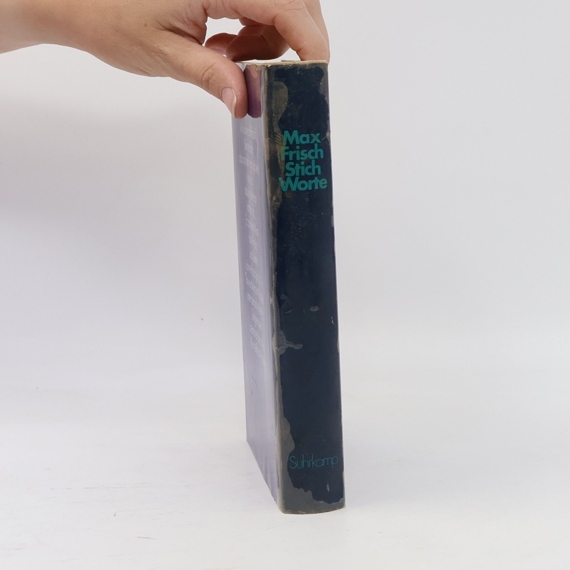 Max Frisch Stich-Worte