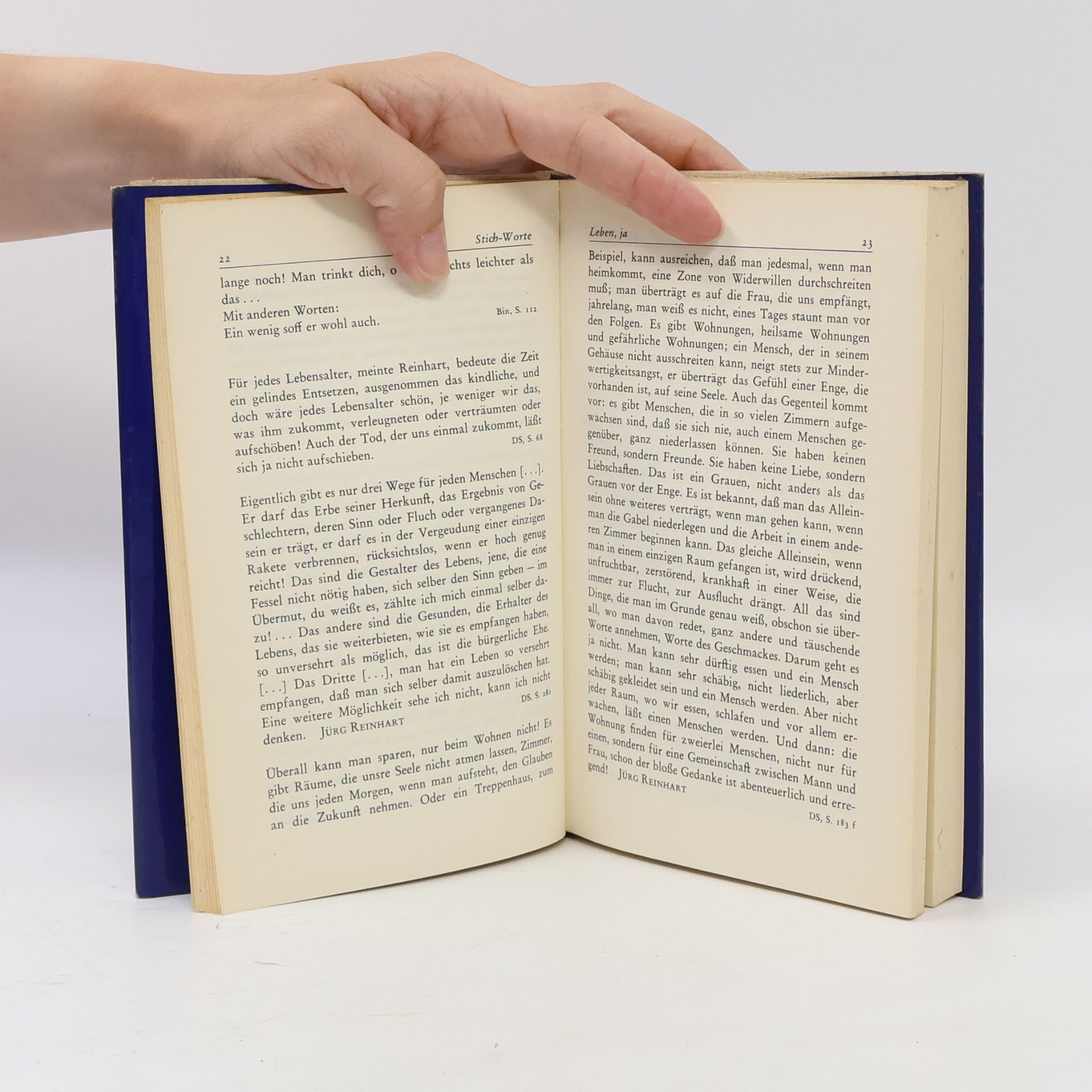 Max Frisch Stich-Worte