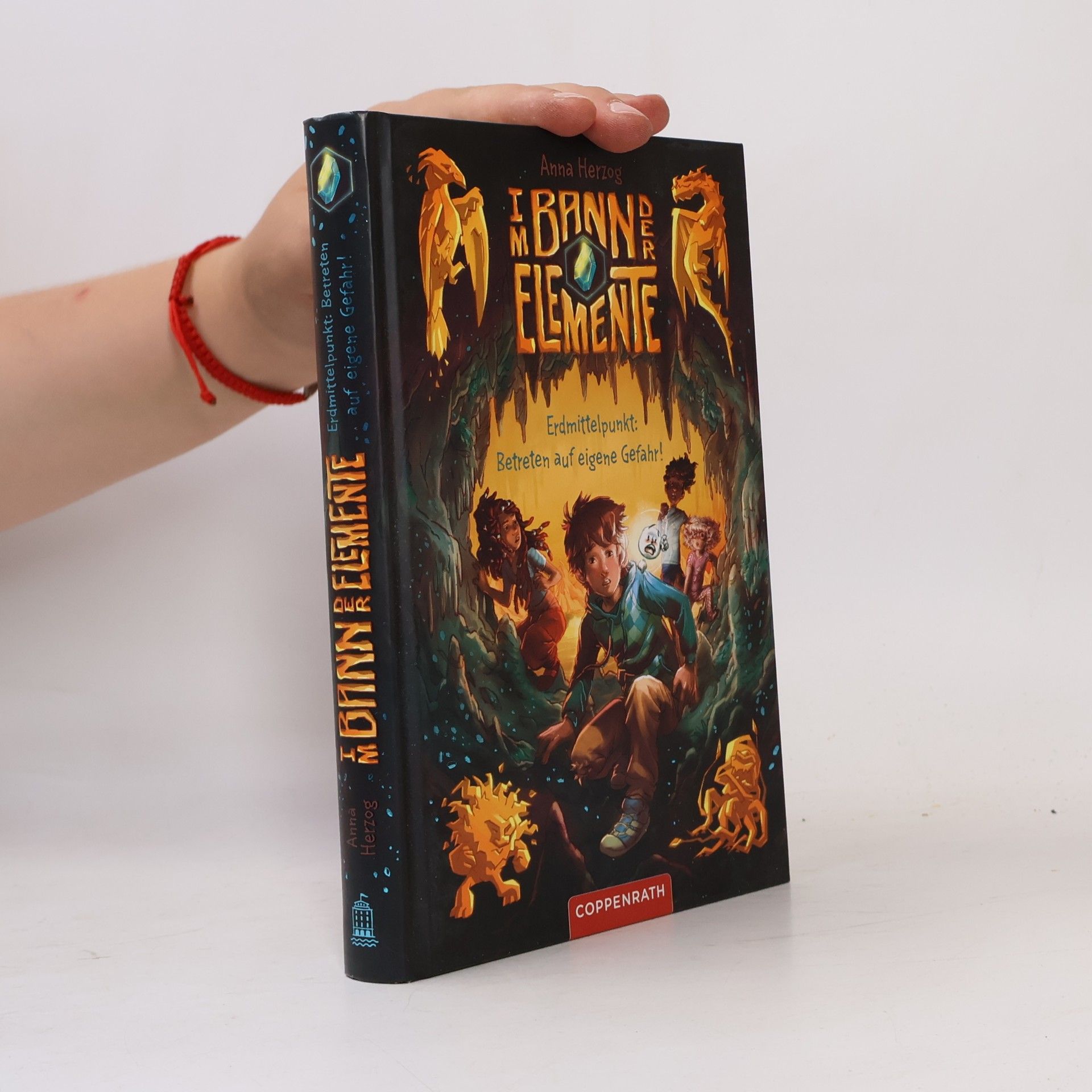 Mandy Schlundt Im Bann der Elemente (Bd. 1)