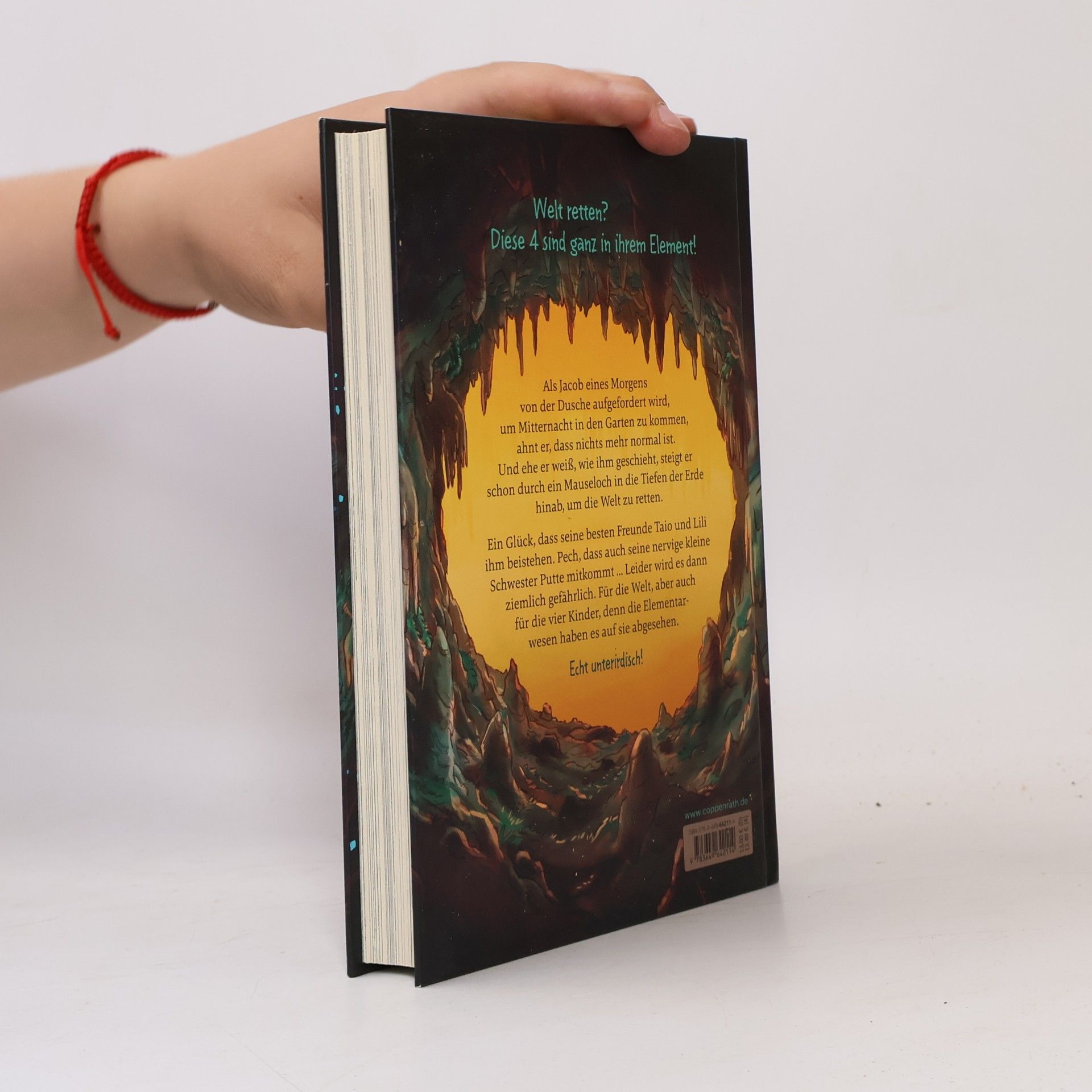 Mandy Schlundt Im Bann der Elemente (Bd. 1)