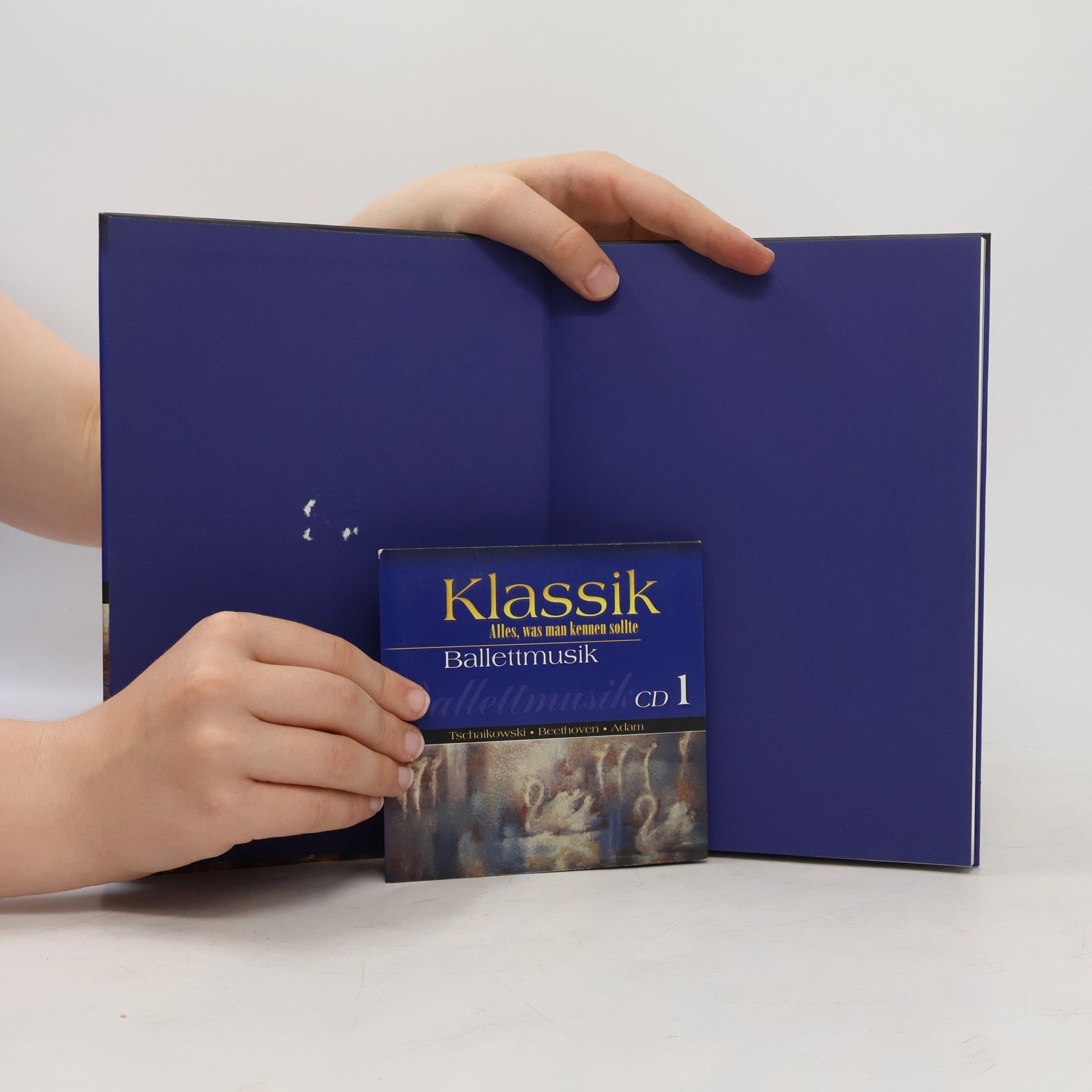 Kolektiv autorů Klassik. Alles, was man kennen sollte. Ballettmusik
