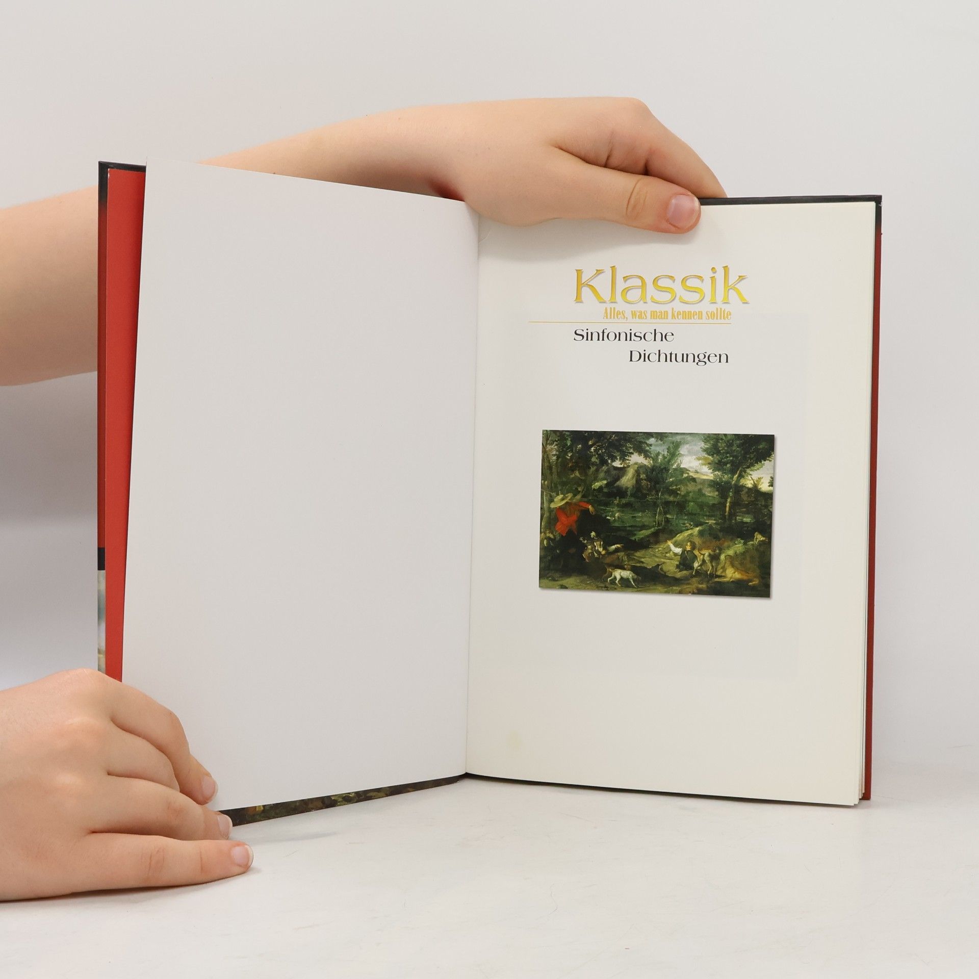 Autorenkollektiv Klassik. Alles, was man kennen sollte. Sinfonische Dichtungen