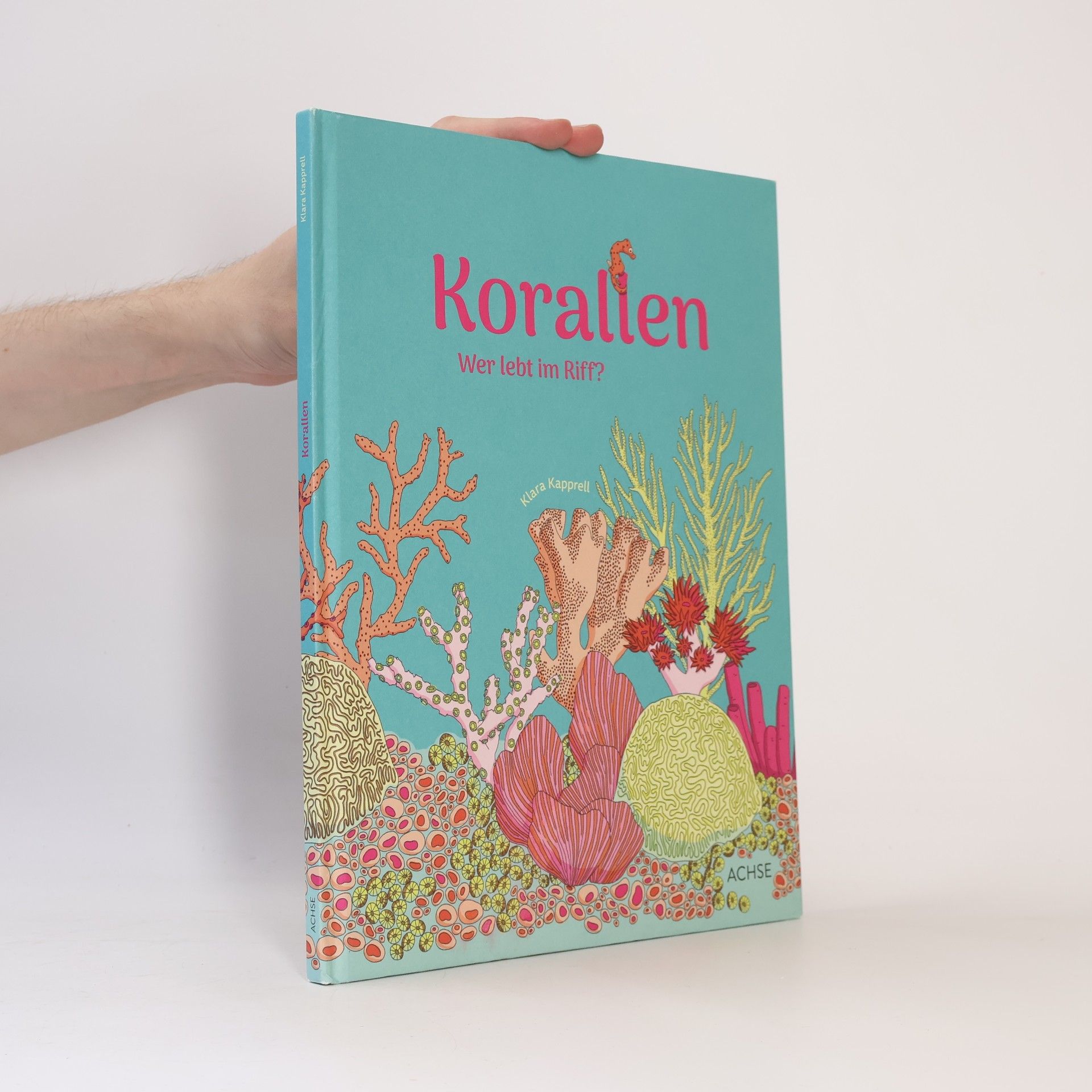 Klara Kapprell Korallen