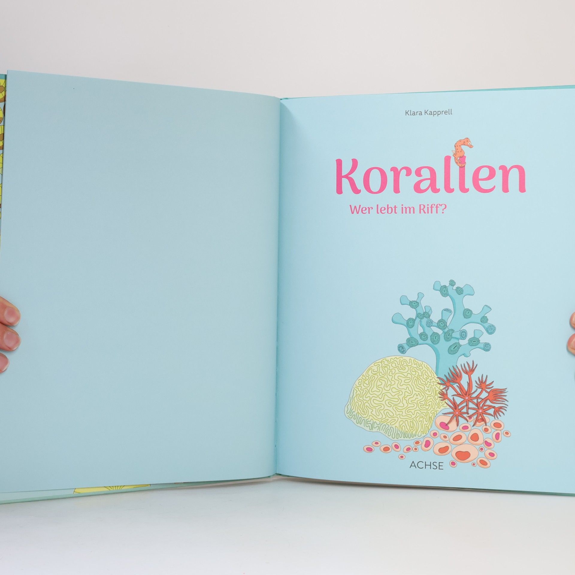 Klara Kapprell Korallen