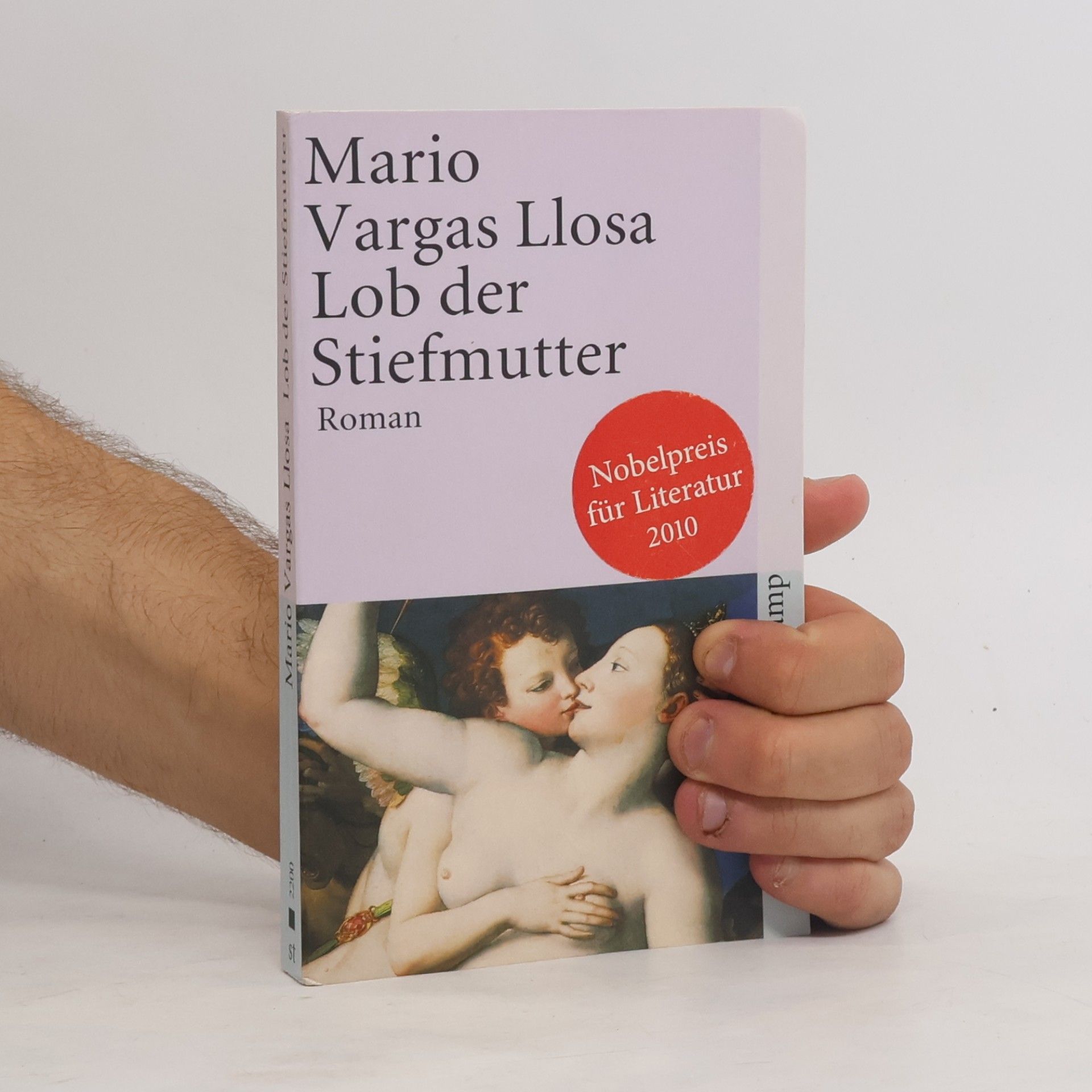 Mario Vargas Llosa Lob der Stiefmutter