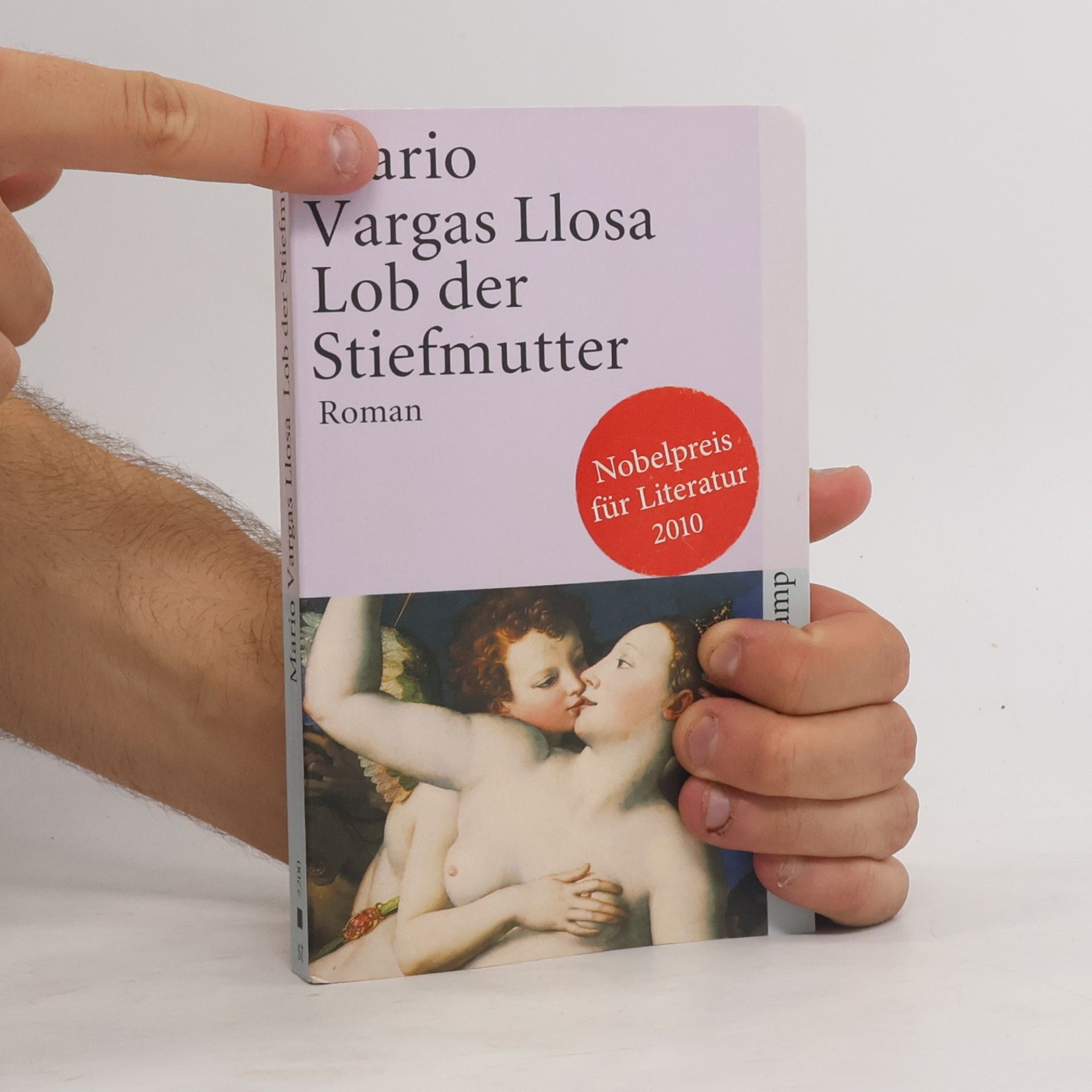 Mario Vargas Llosa Lob der Stiefmutter