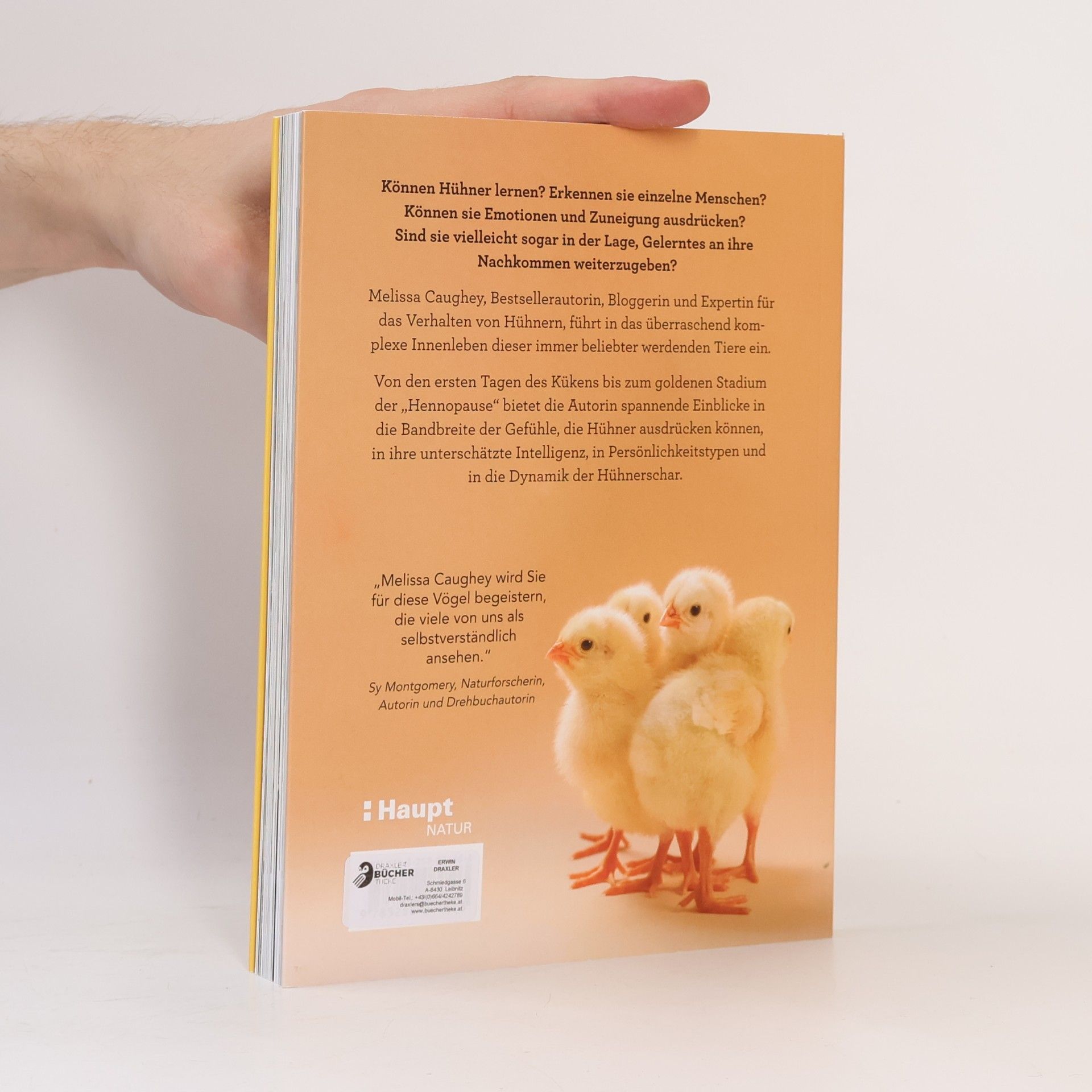 Melissa Caughey How to Read a Chicken's Mind