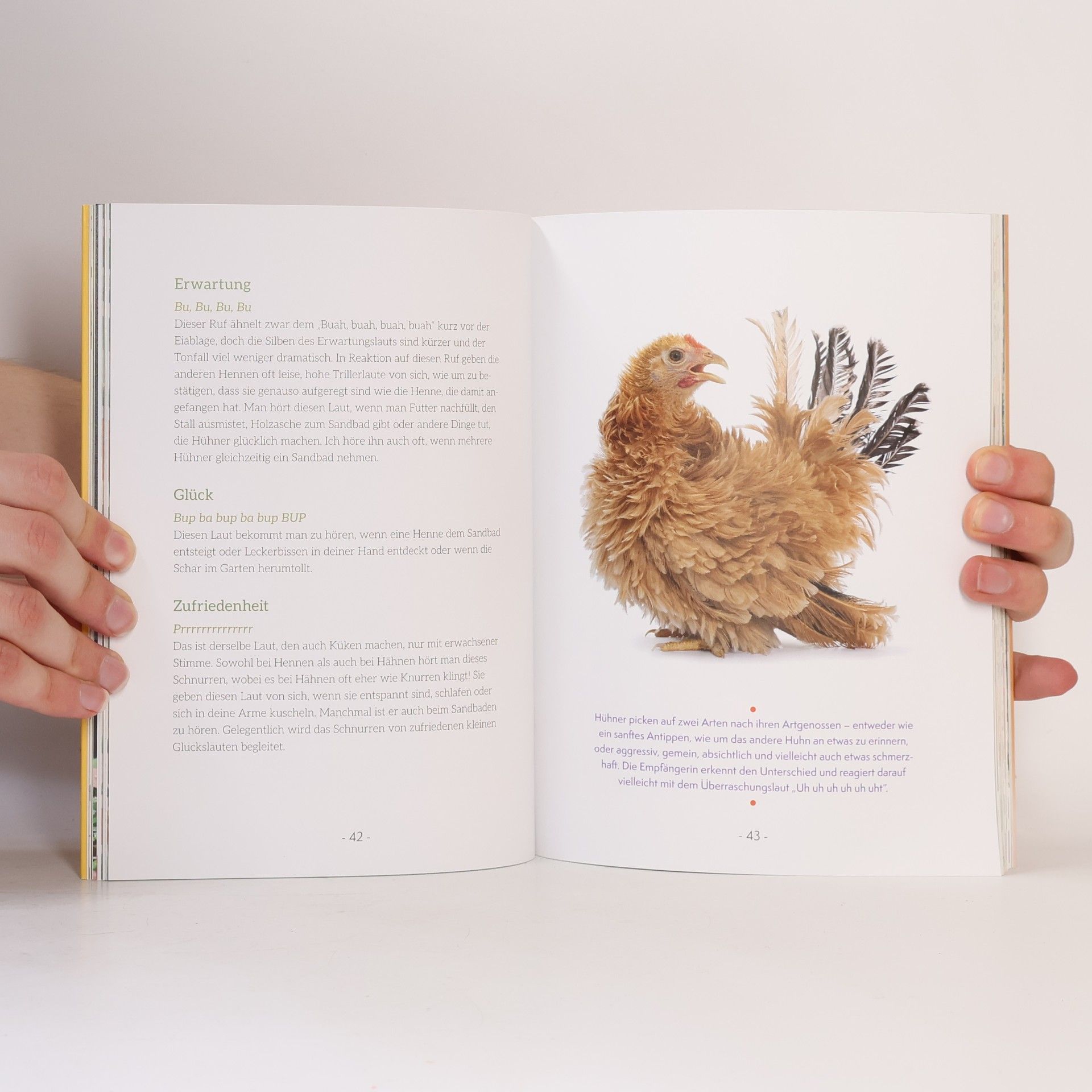 Melissa Caughey How to Read a Chicken's Mind