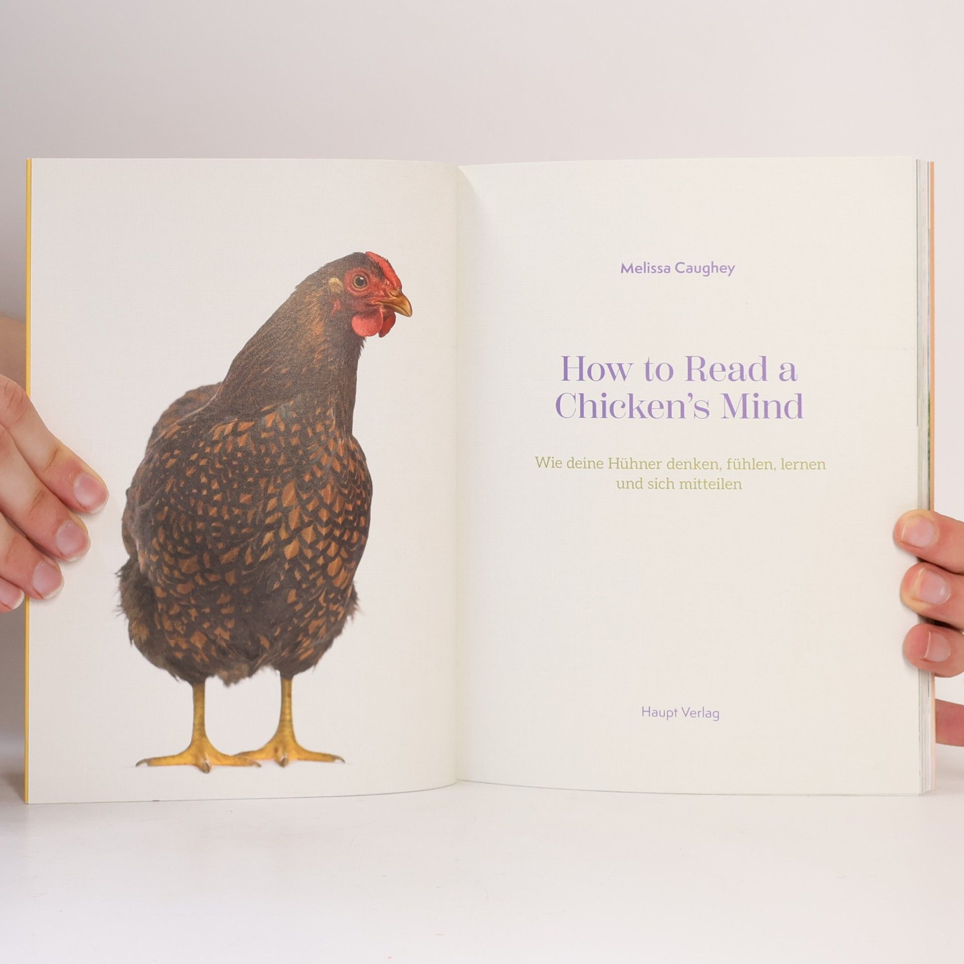 Melissa Caughey How to Read a Chicken's Mind