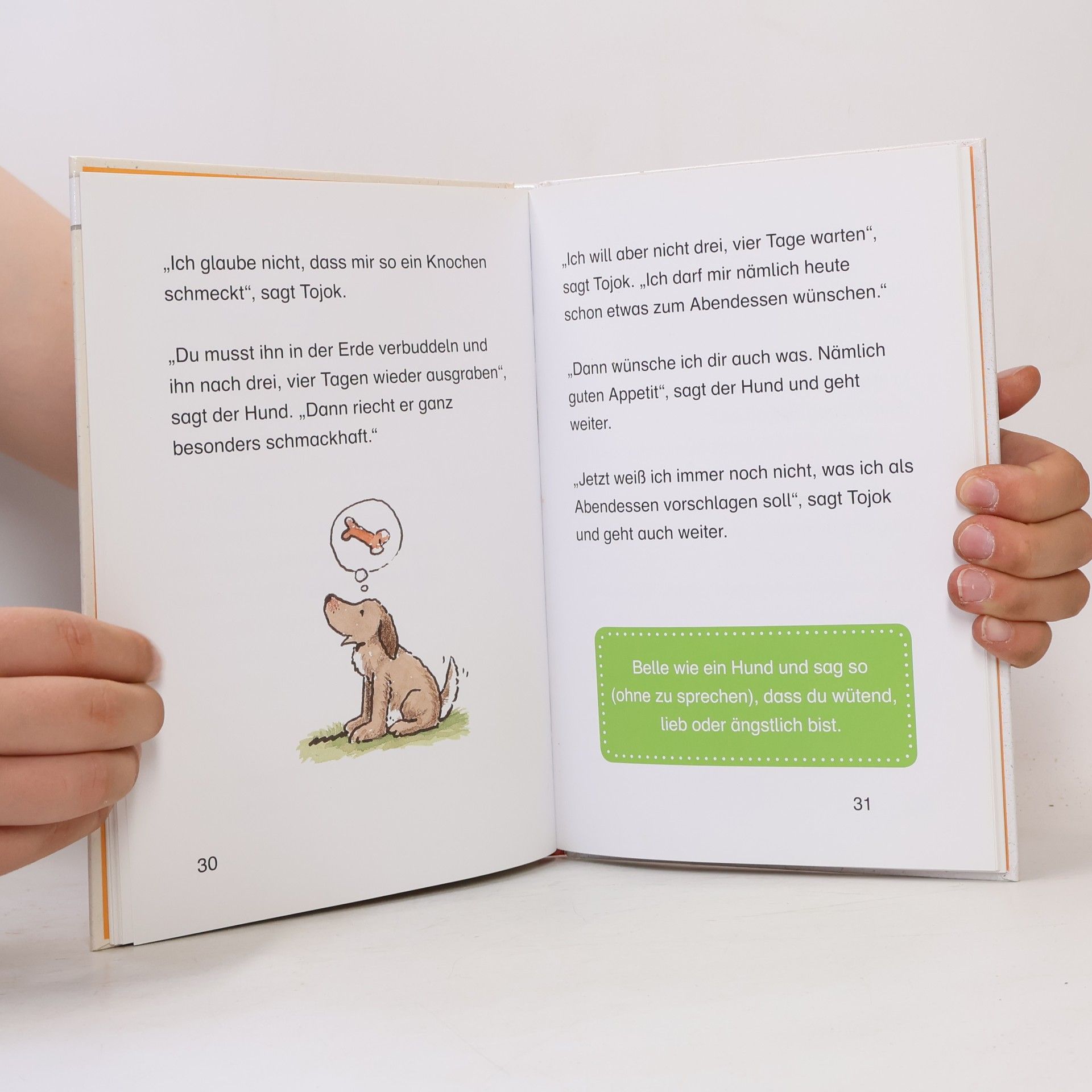 Paul Maar Der kleine Troll Tojok