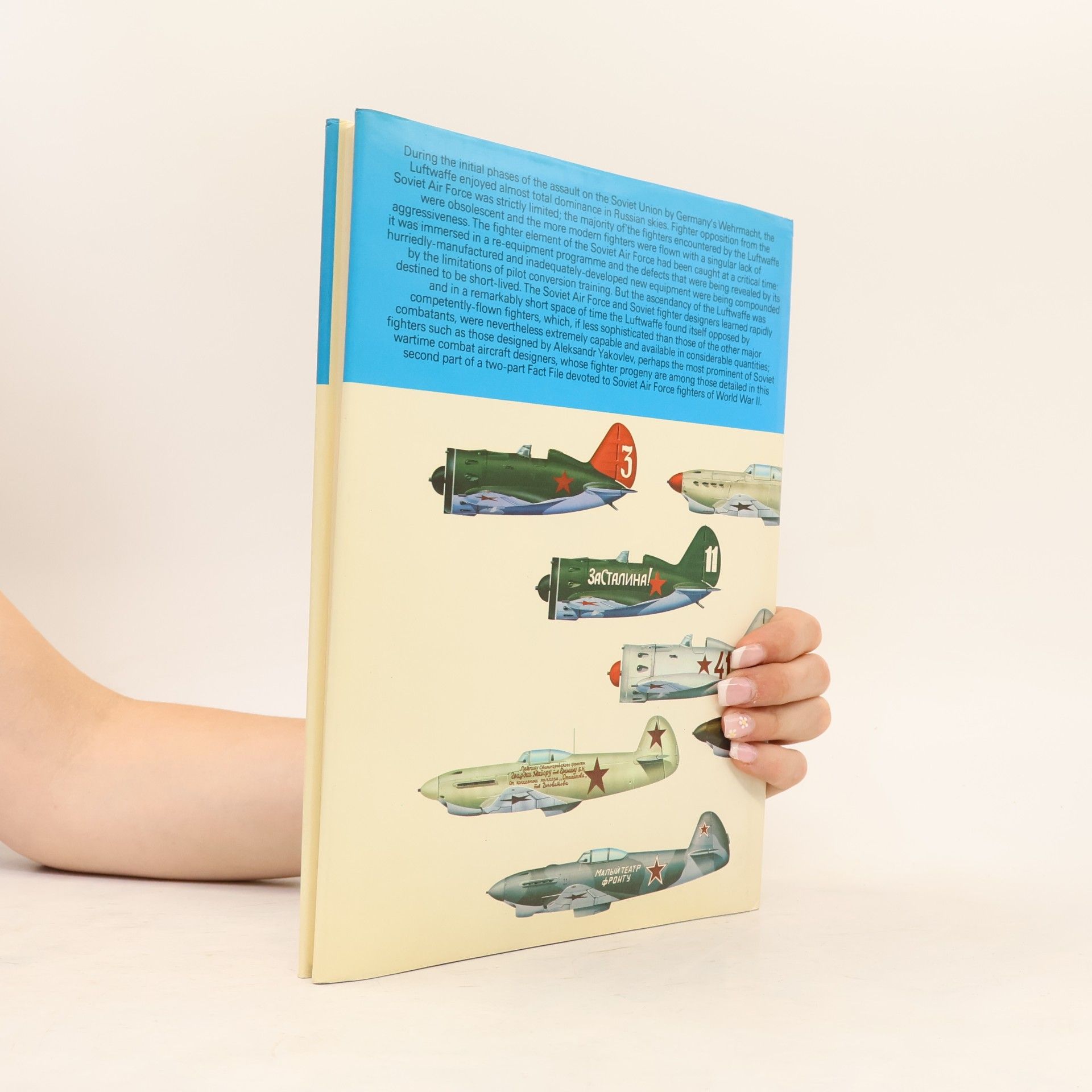 William Green Soviet Air Force fighters. Part 2
