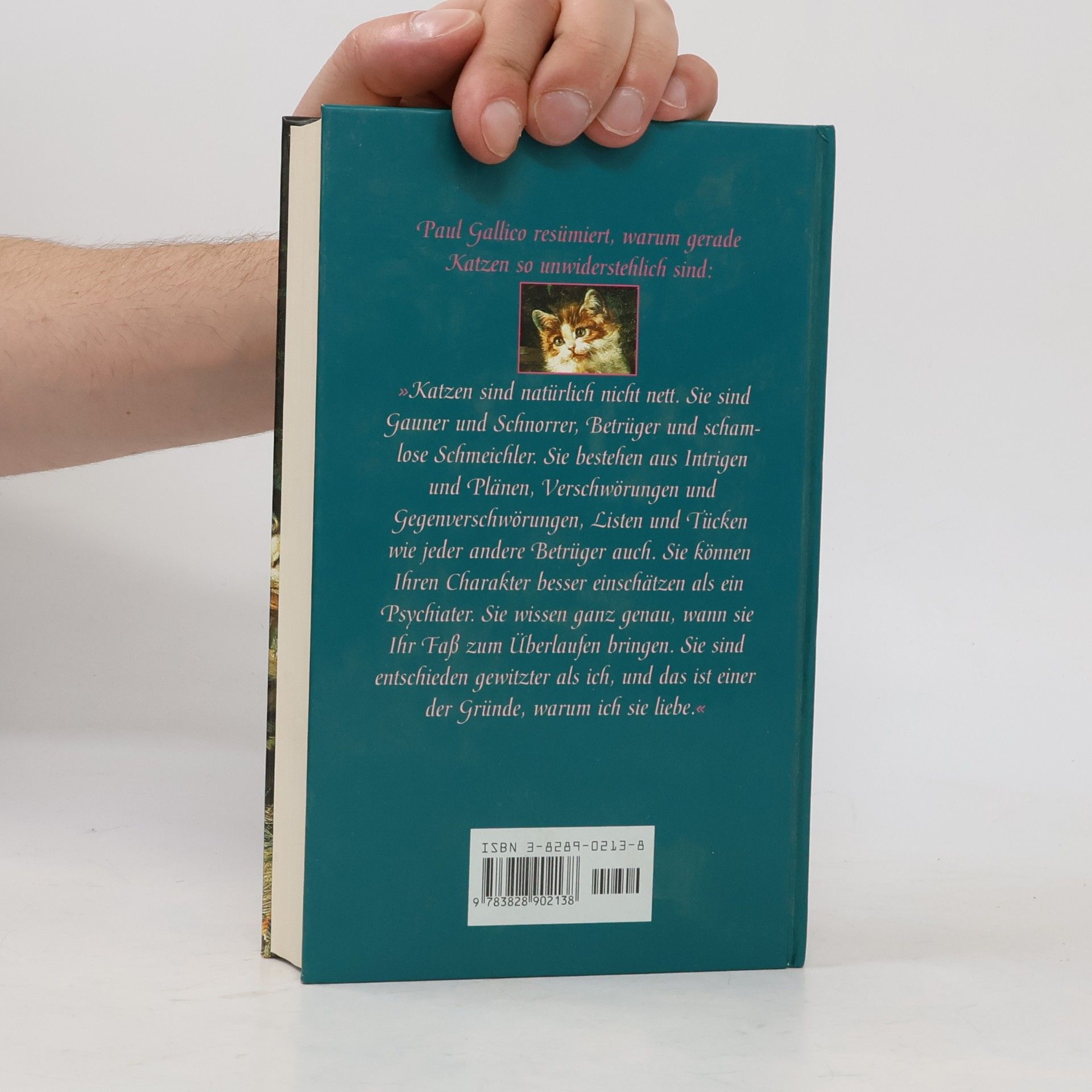Various authors Magie auf Samtpfoten