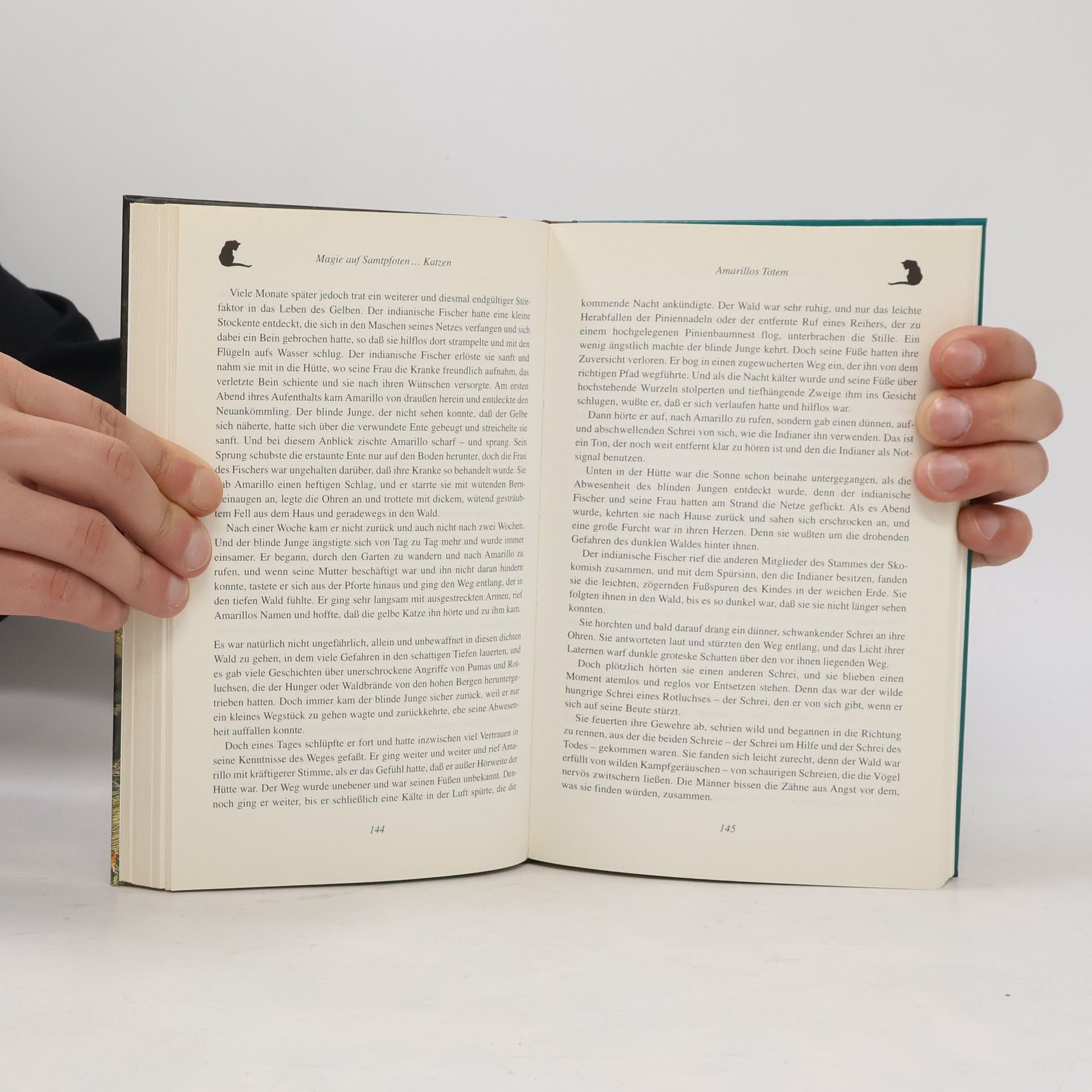 Various authors Magie auf Samtpfoten