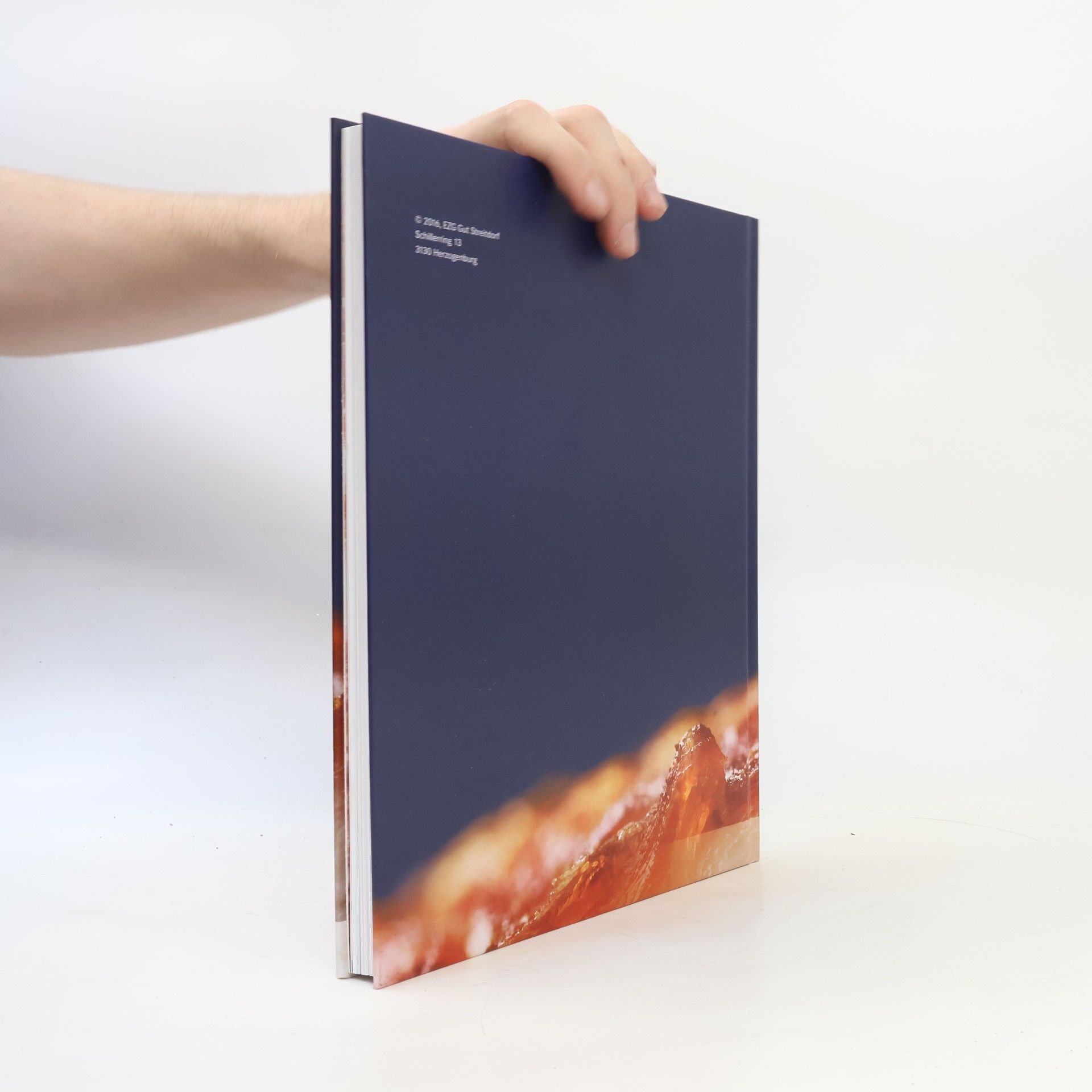 Autorenkollektiv Von Schopf bis Fuss. Die neue Schweinefleischküche