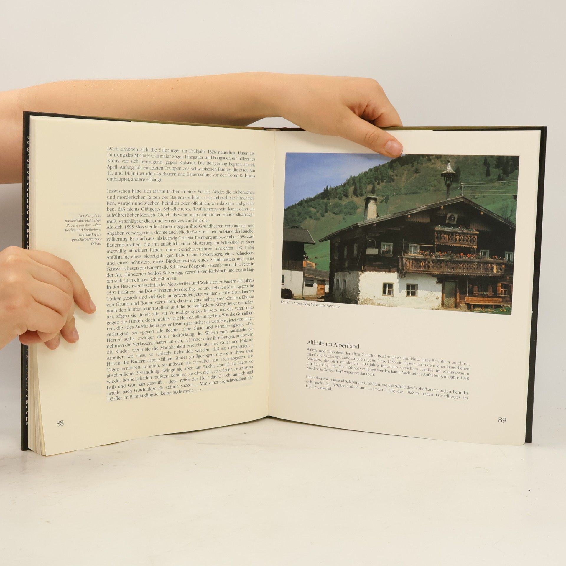 Gerhard Stenzel Das Dorf in Österreich