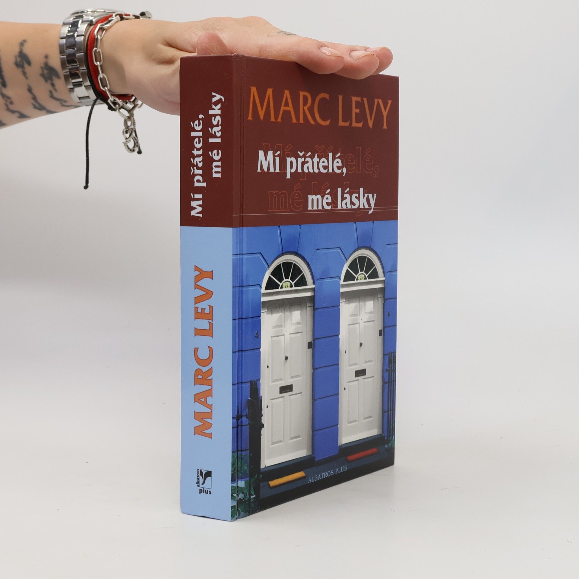 Marc Lévy Mí přátelé, mé lásky