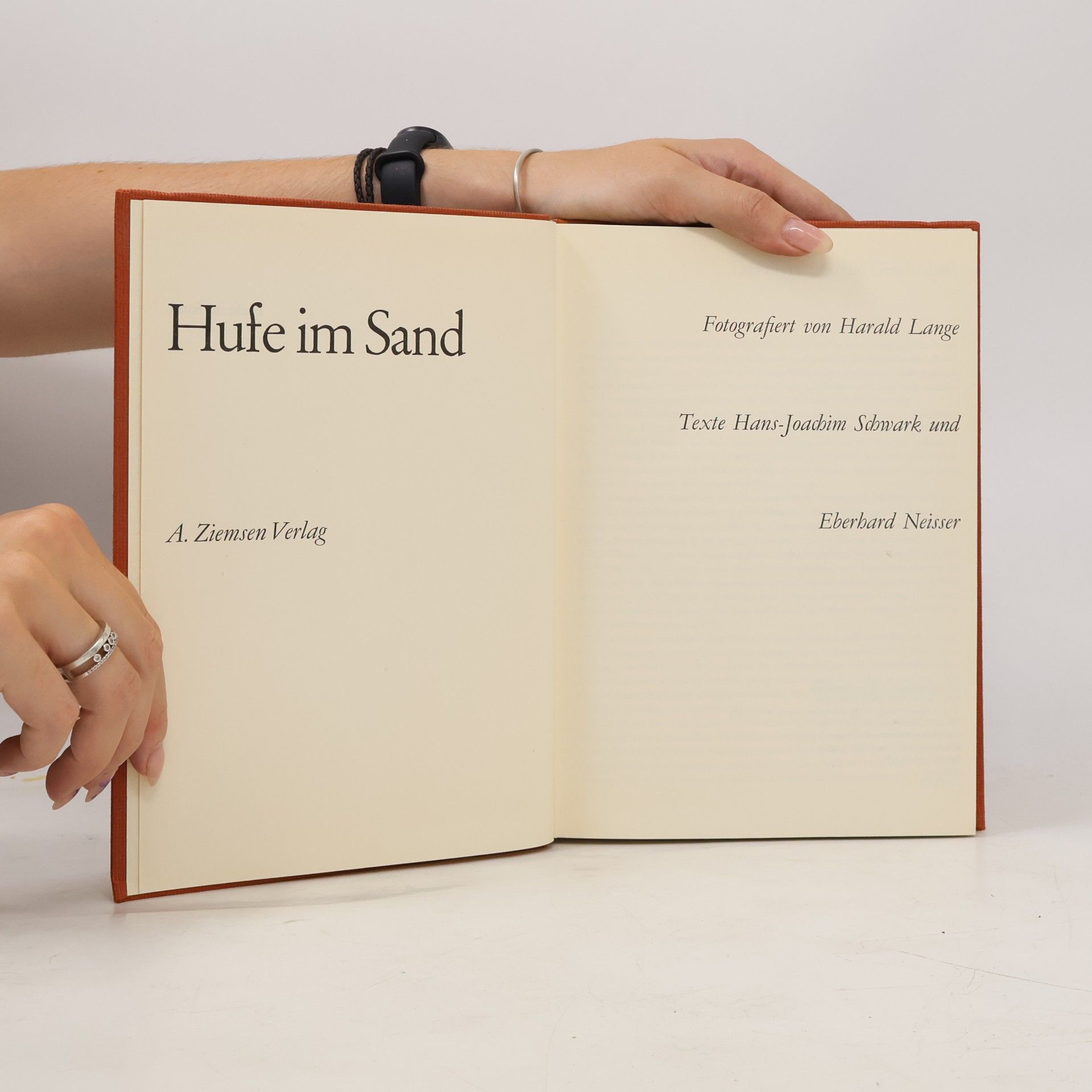 Autorenkollektiv Hufe im Sand