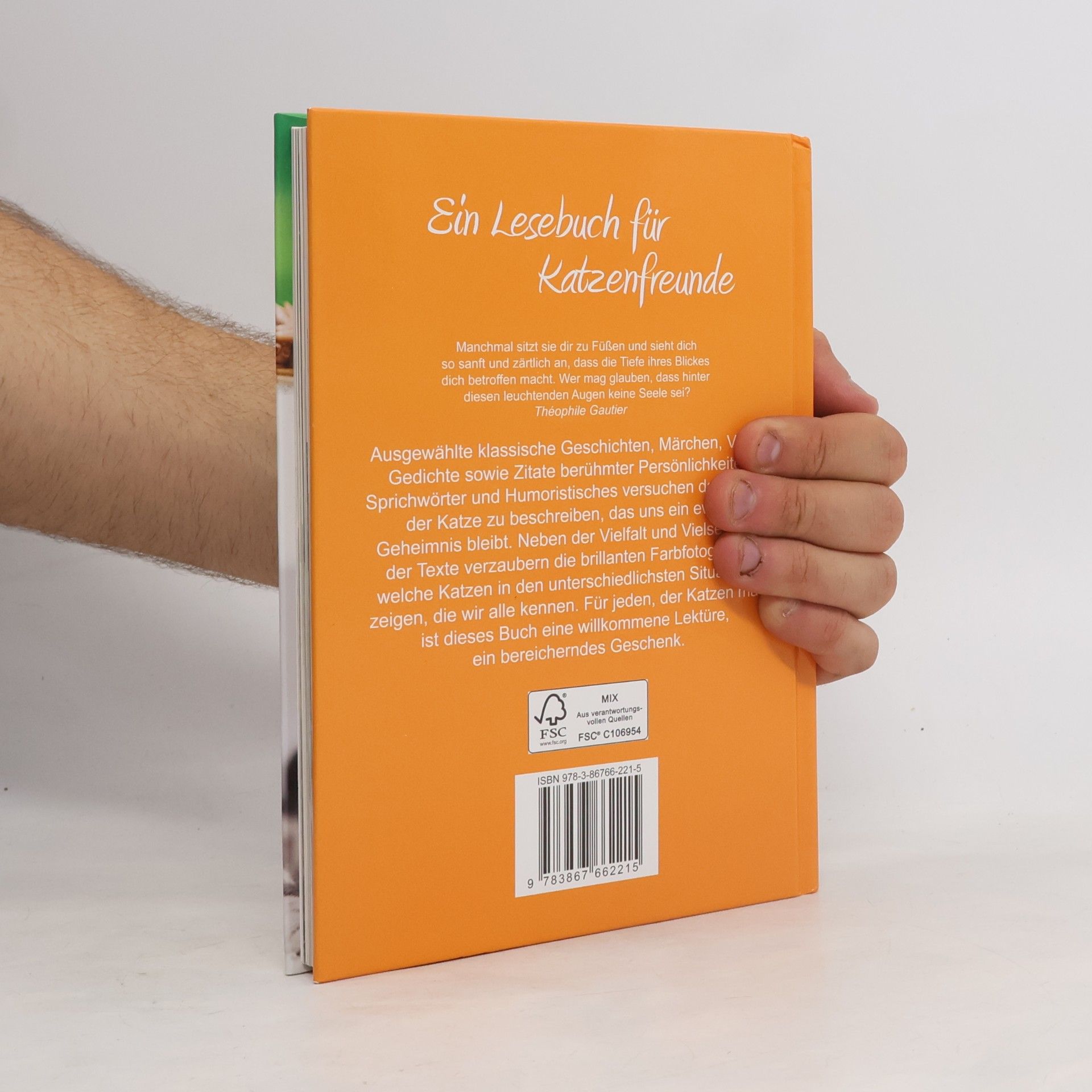 Various authors Ein Lesebuch für Katzenfreunde