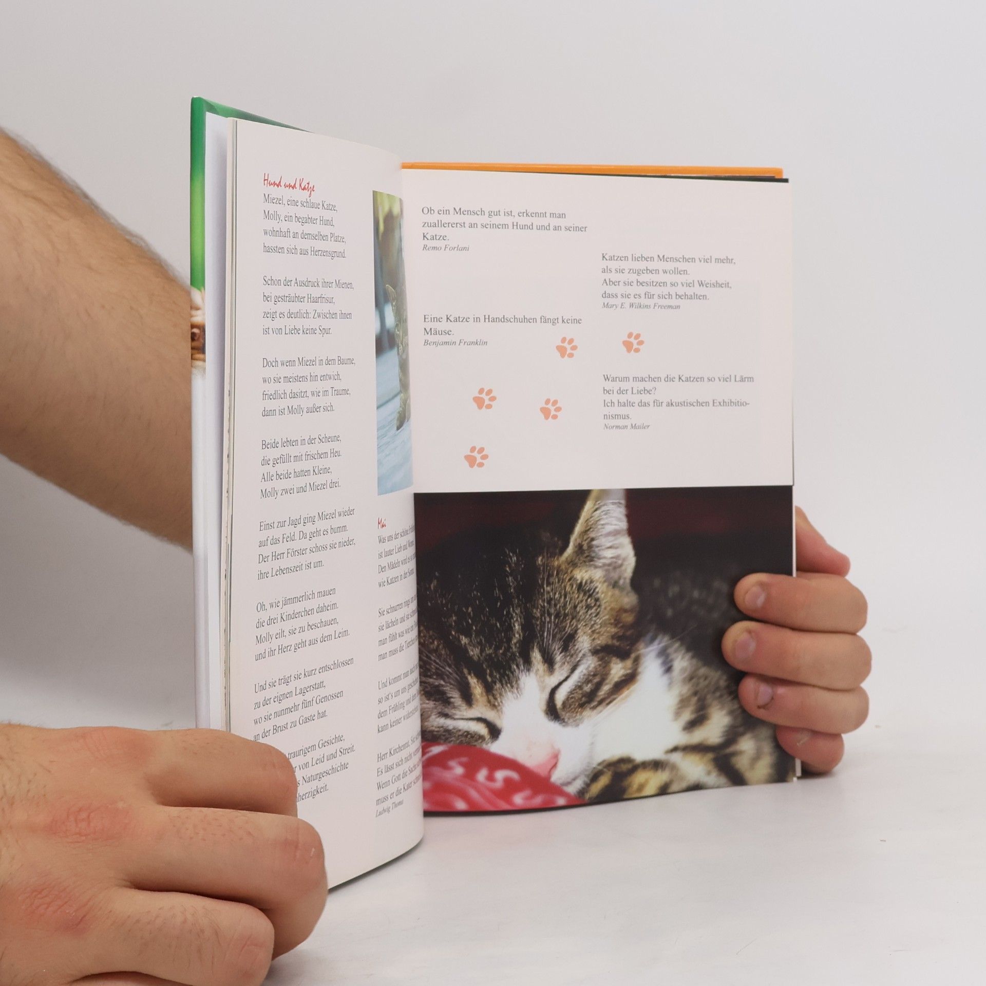 Various authors Ein Lesebuch für Katzenfreunde