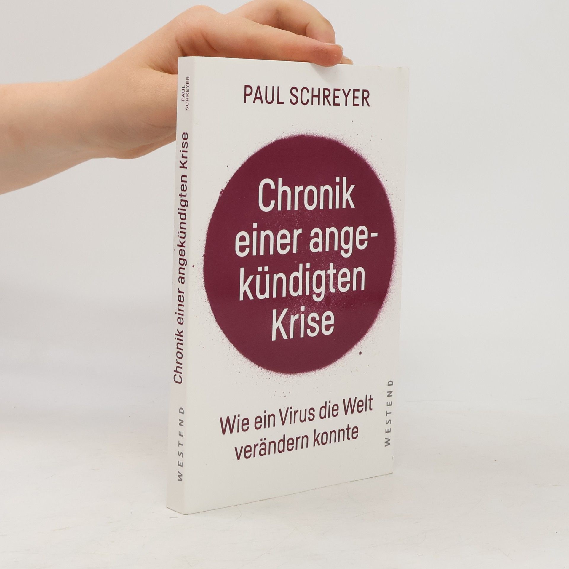 Paul Schreyer Chronik einer angekündigten Krise