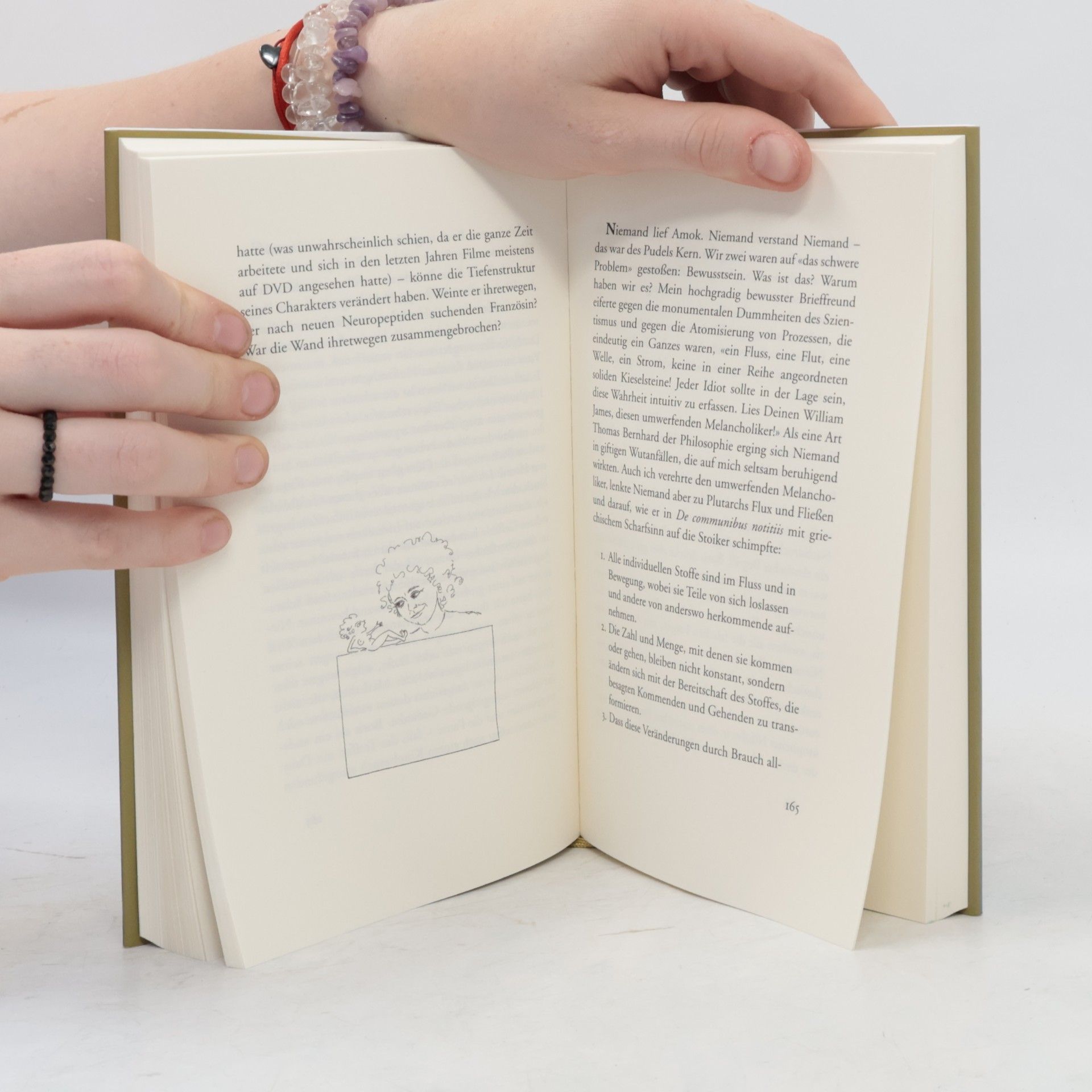 Siri Hustvedt Der Sommer ohne Männer