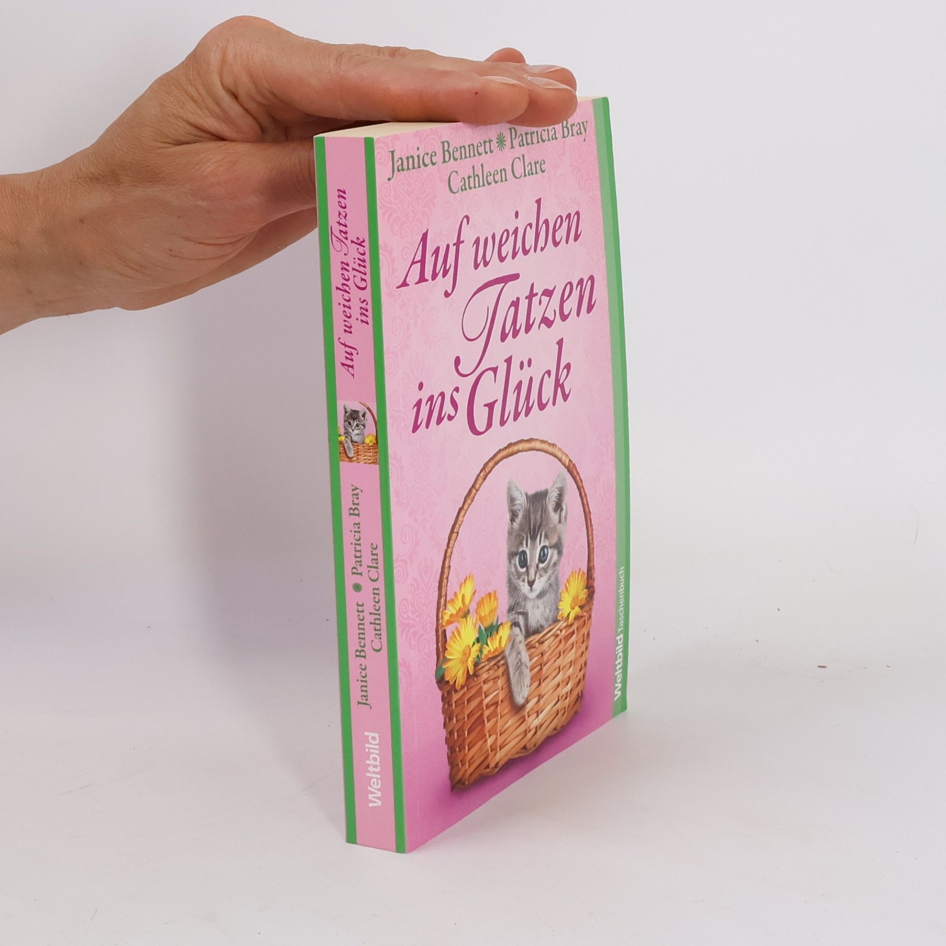Janice Bennett Auf weichen Tatzen ins Glück