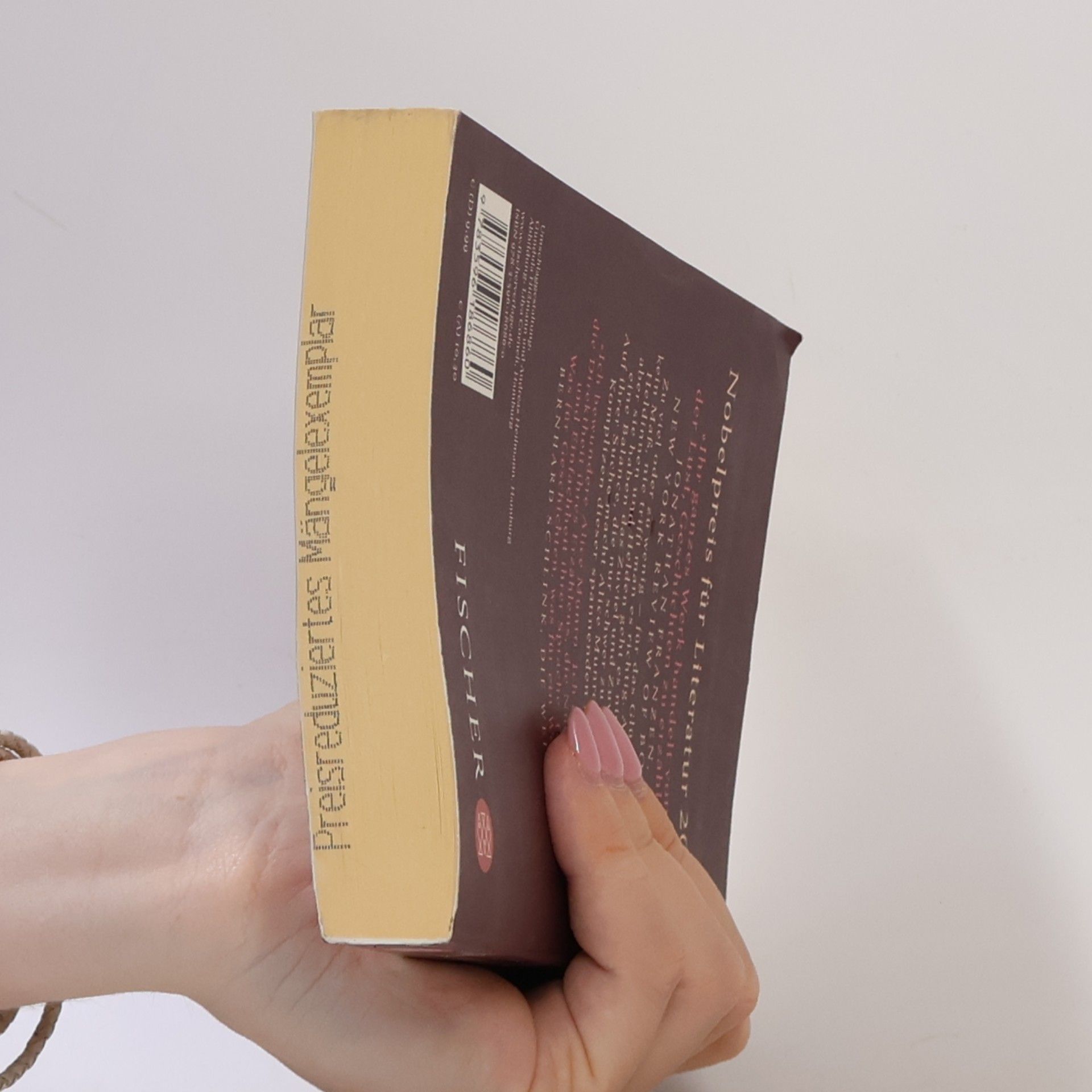 Alice Munro Zu viel Glück. zehn erzählungen