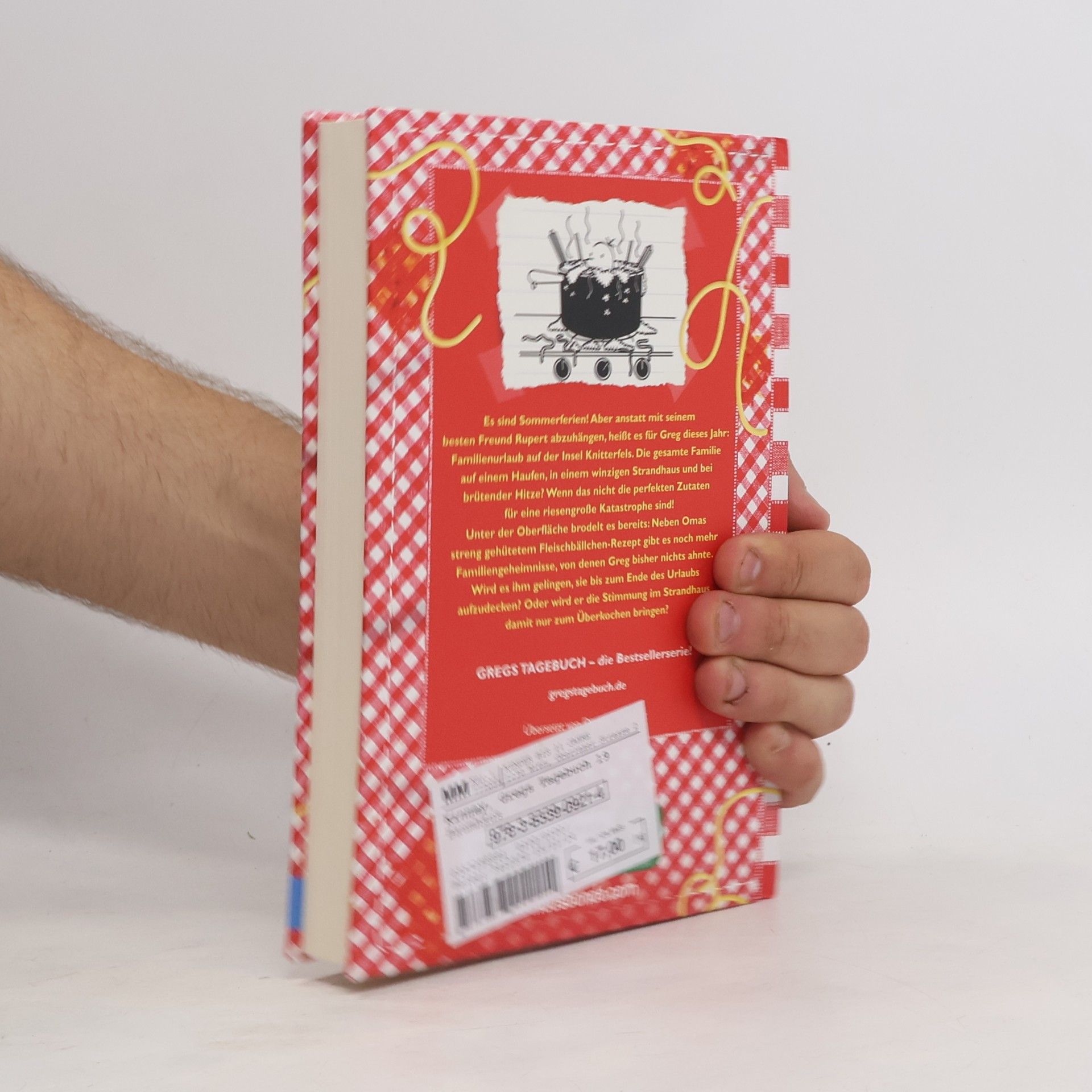 Jeff Kinney So ein Schlamassel! / Gregs Tagebuch Bd.19