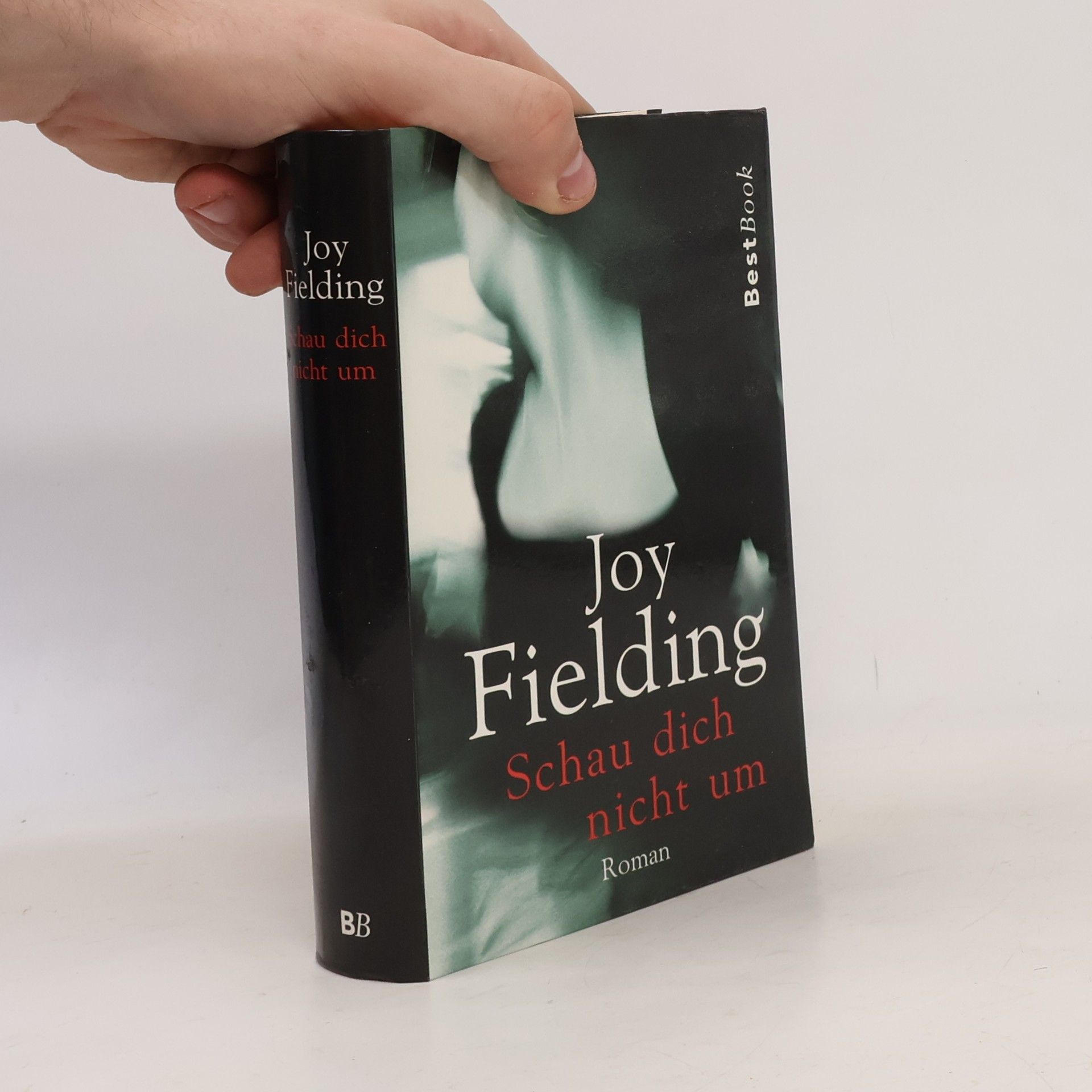 Joy Fielding Schau dich nicht um