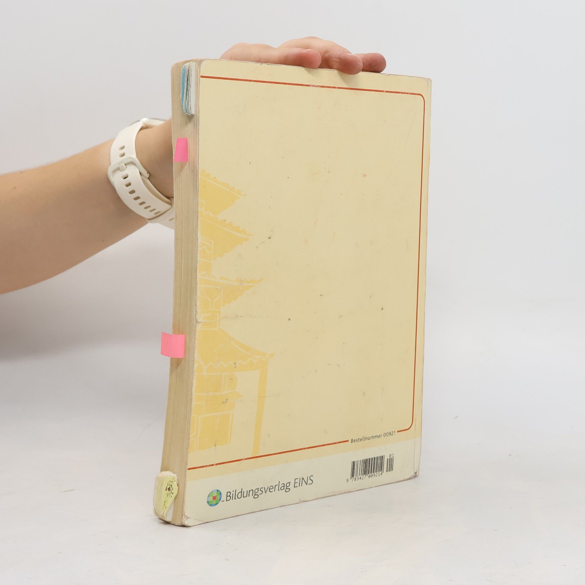 Noriko Katsuki-Pestemer Grundstudium Japanisch 2. Lehr-/Fachbuch