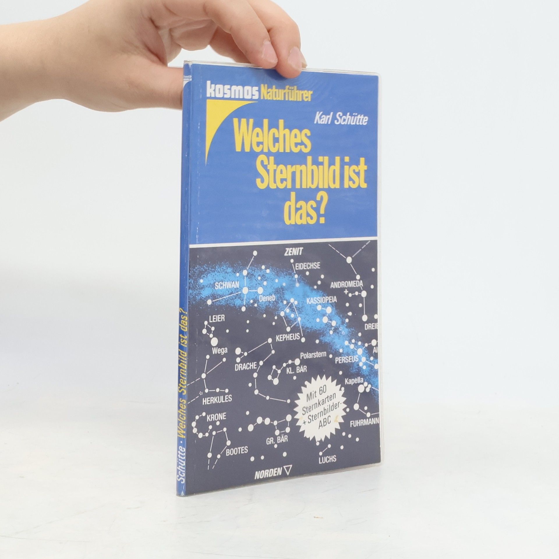 Karl Schütte Welches Sternbild ist dat?