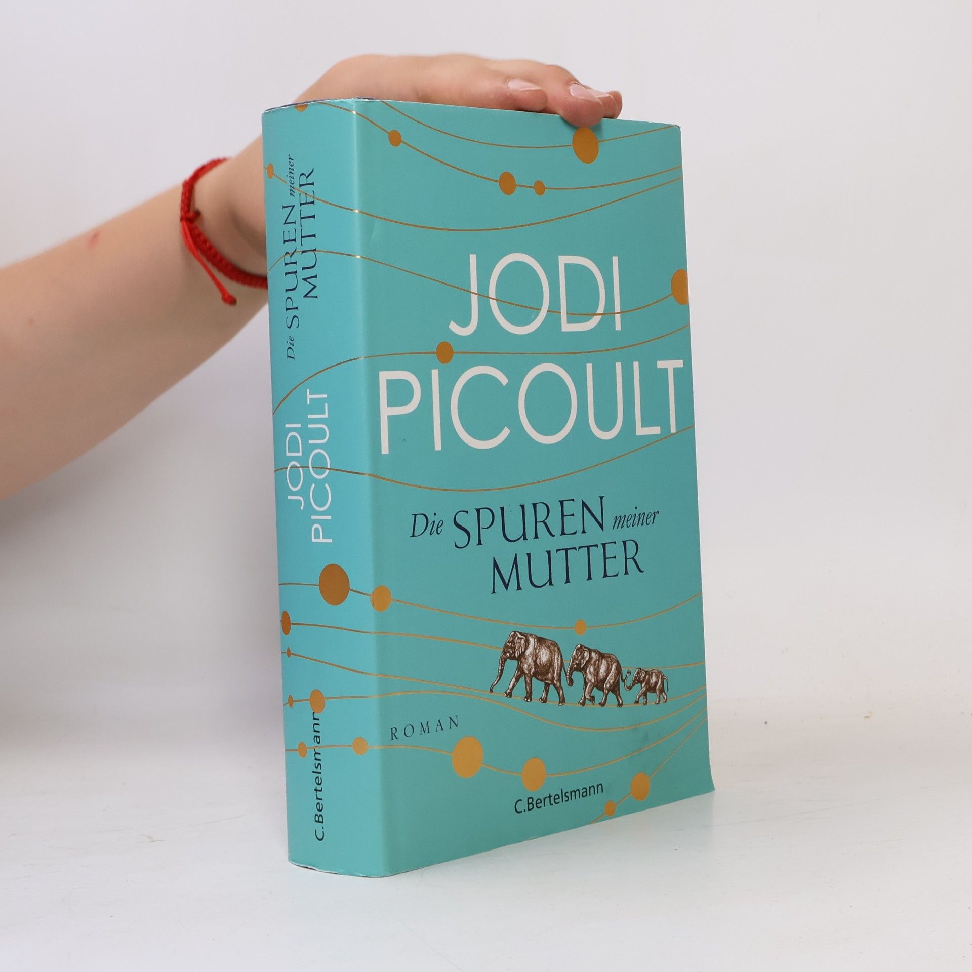 Jodi Picoult Die Spuren meiner Mutter