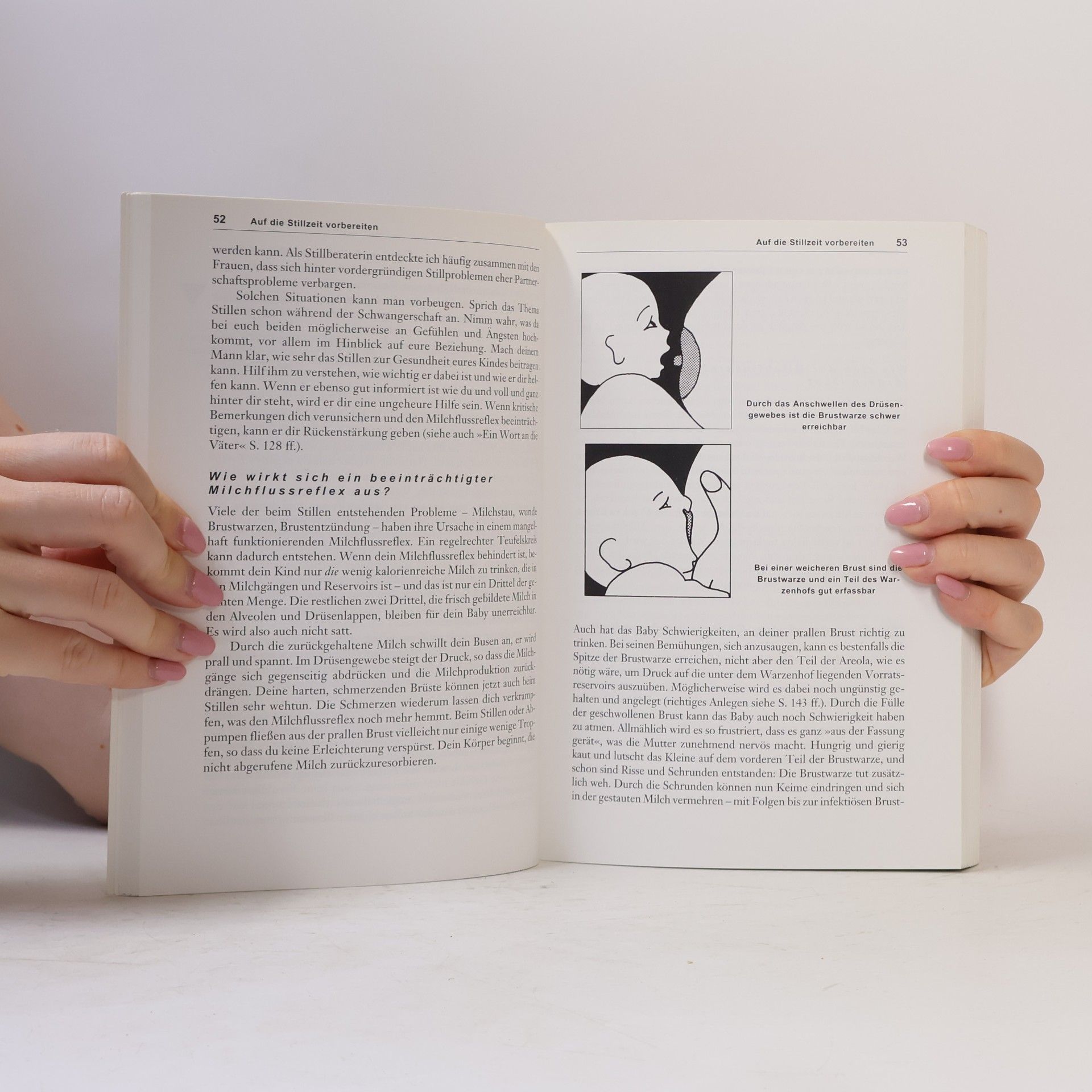 Hannah Lothrop Das Stillbuch