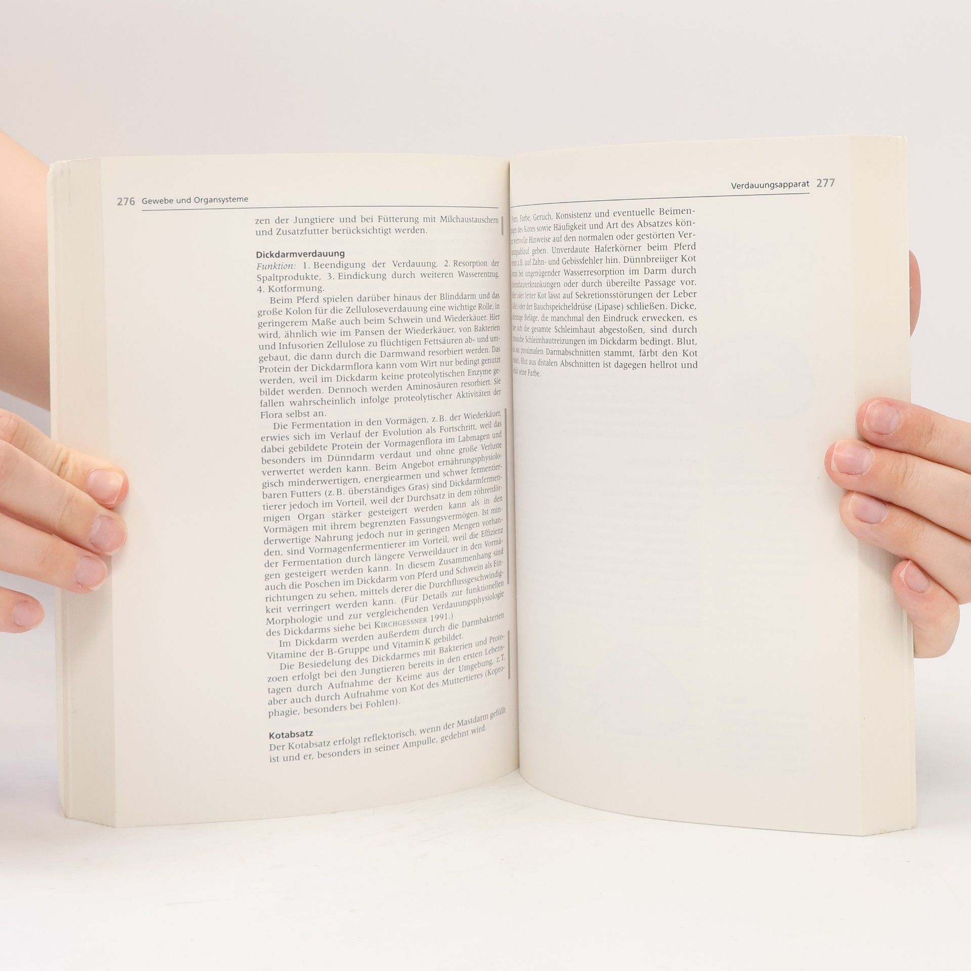 Klaus Loeffler Anatomie und Physiologie der Haustiere