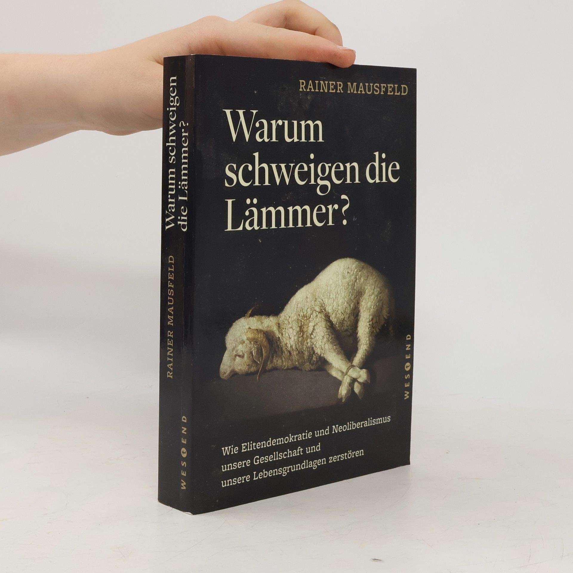 Rainer Mausfeld Warum schweigen die Lämmer?