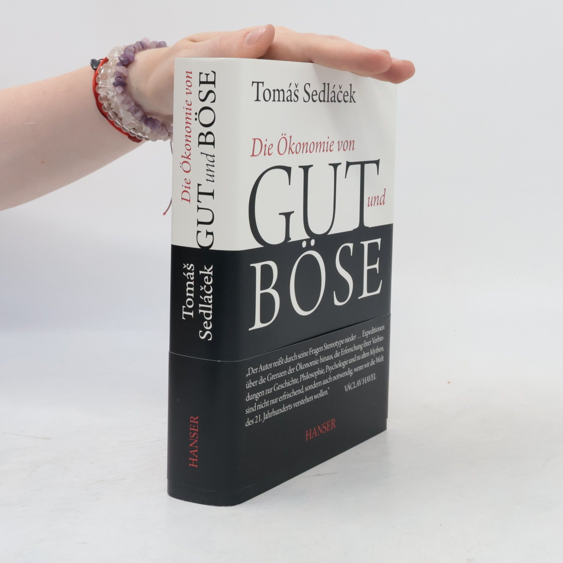 Tomáš Sedláček Die Ökonomie von Gut und Böse