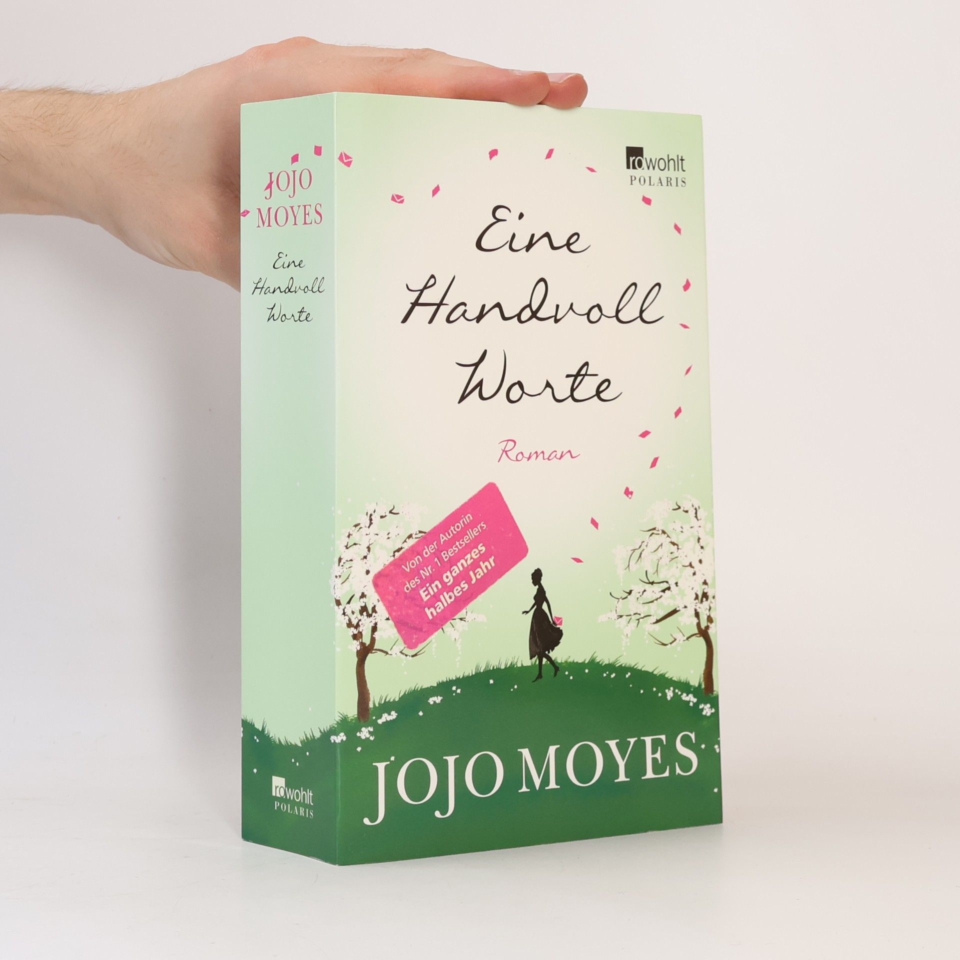Jojo Moyesová Eine Handvoll Worte