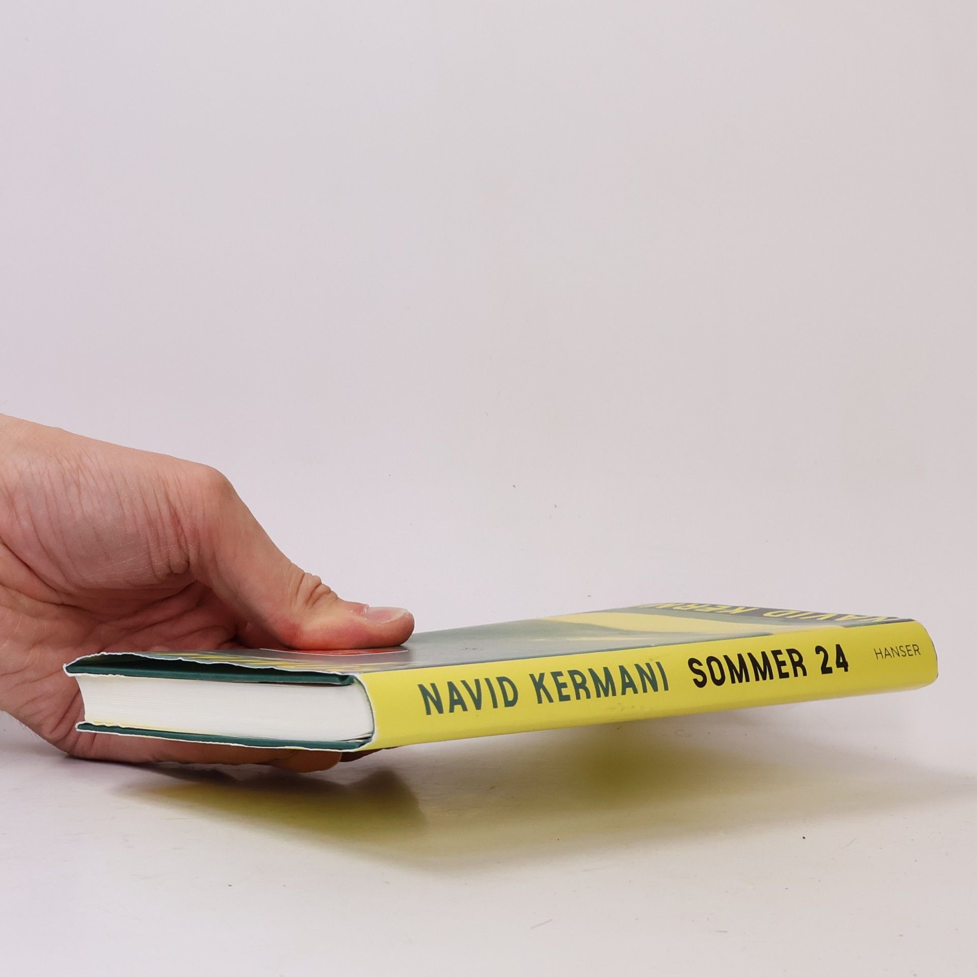 Navid Kermani Sommer 24