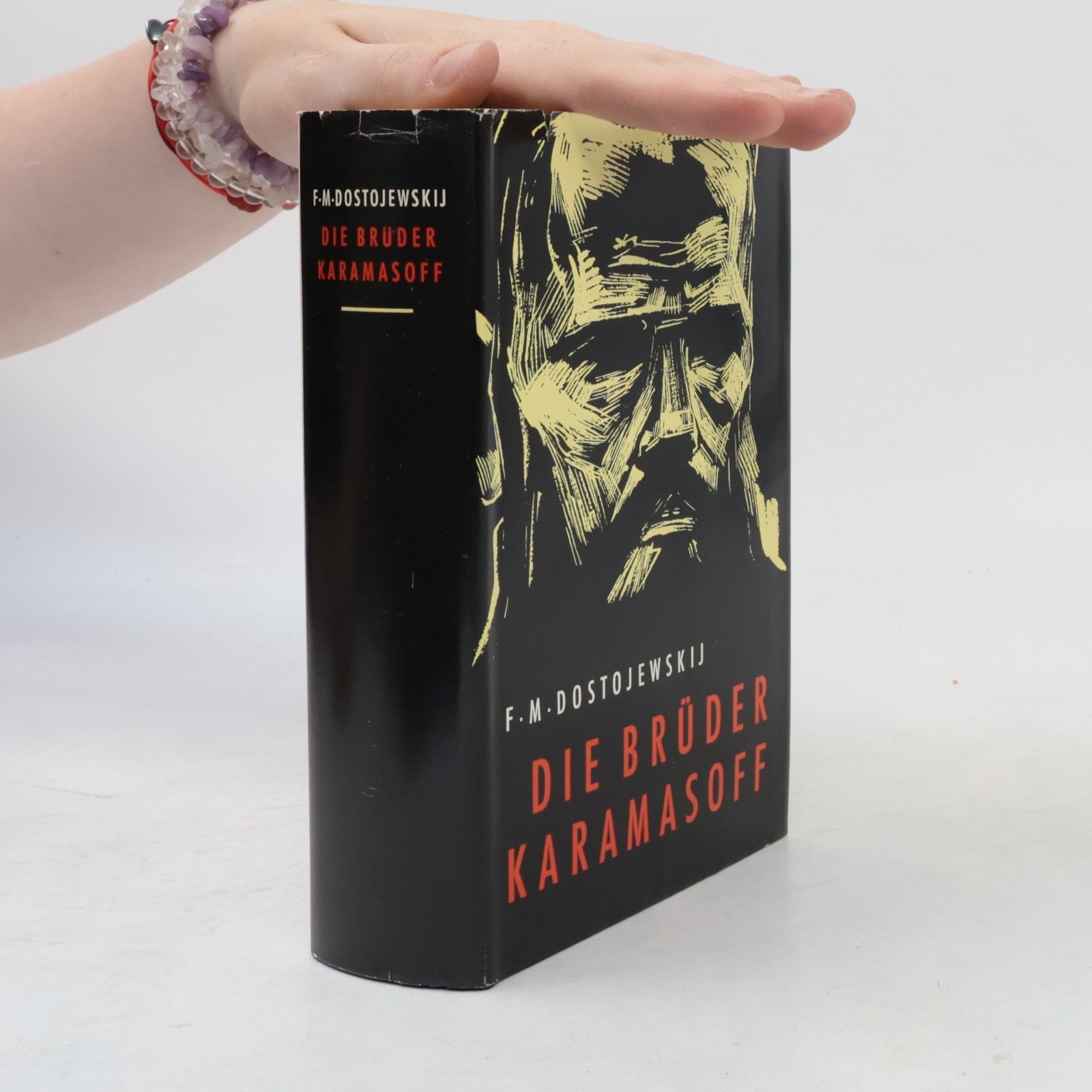 Die Brüder Karamasoff