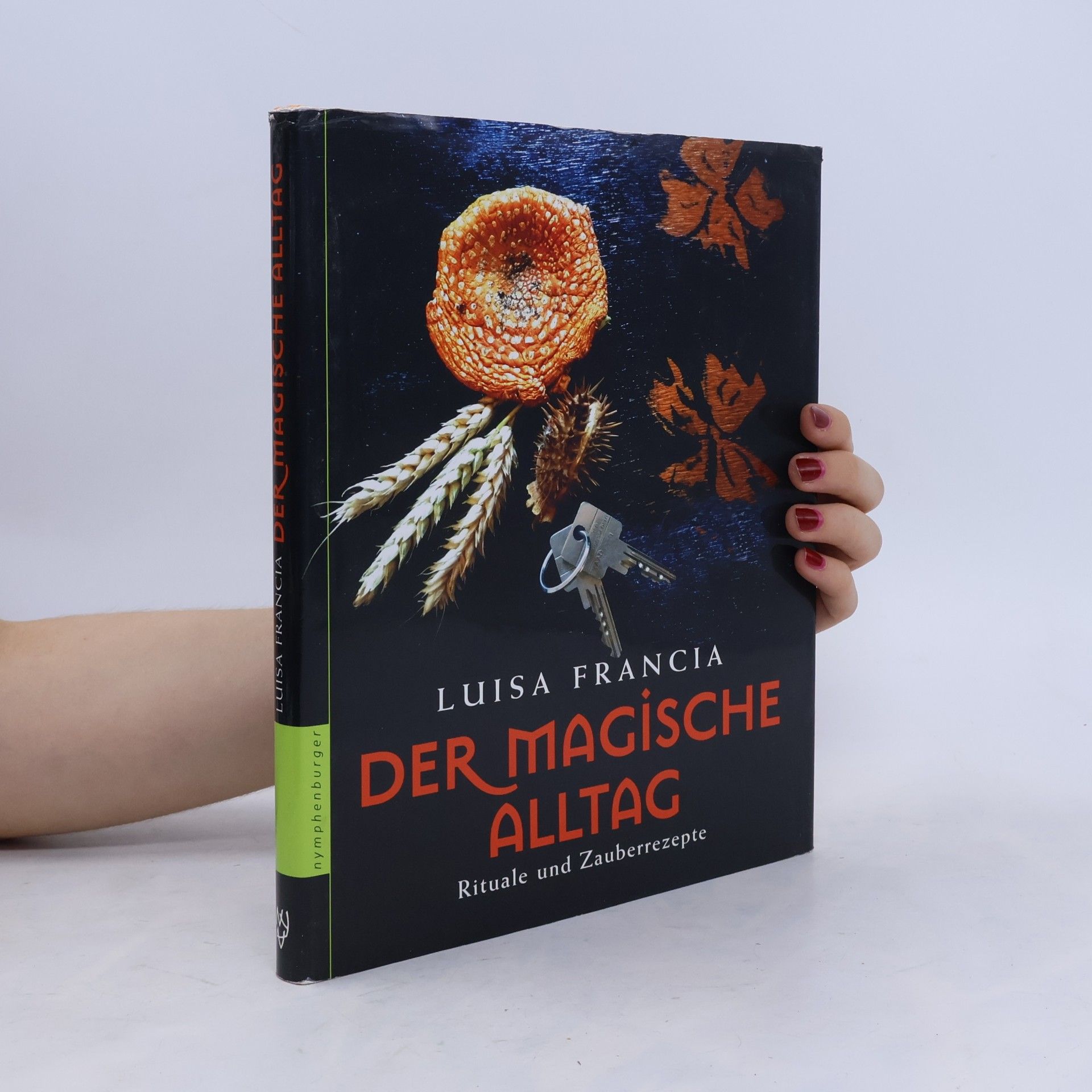 Luisa Francia Der magische Alltag