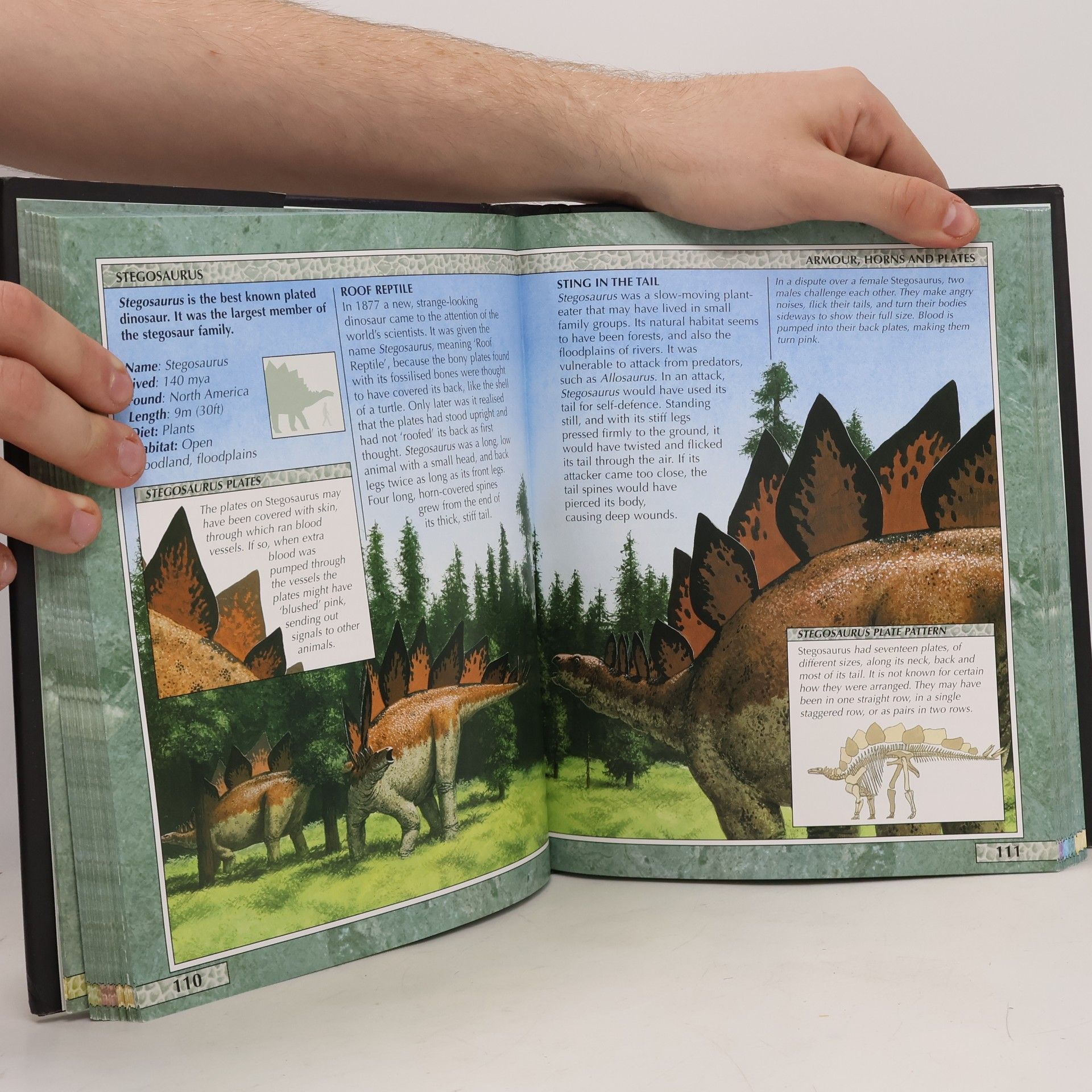 Kolektiv autorů Encyclopedia of Dinosaurs and Other Prehistoric Creatures