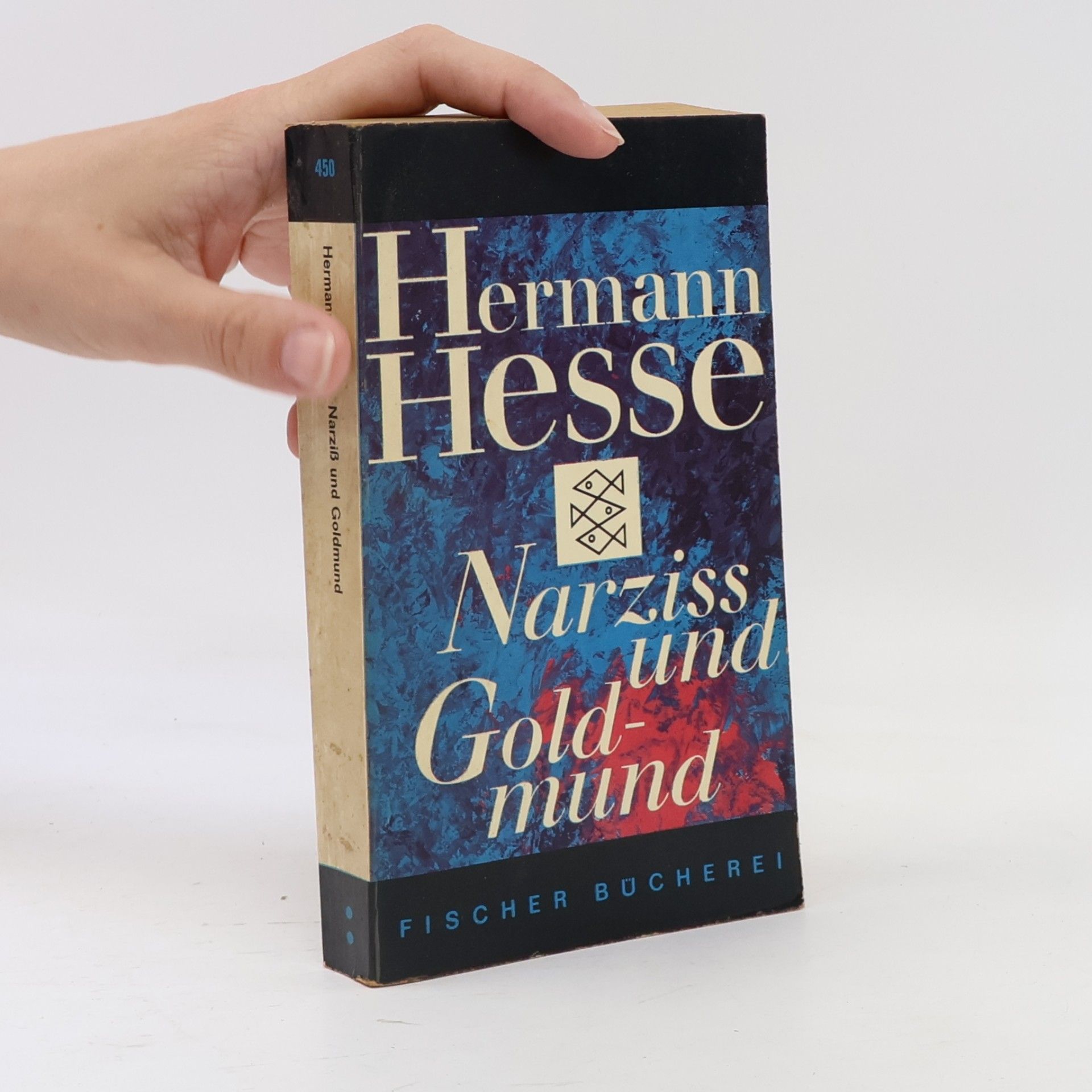 Hermann Hesse Narziss und Goldmund
