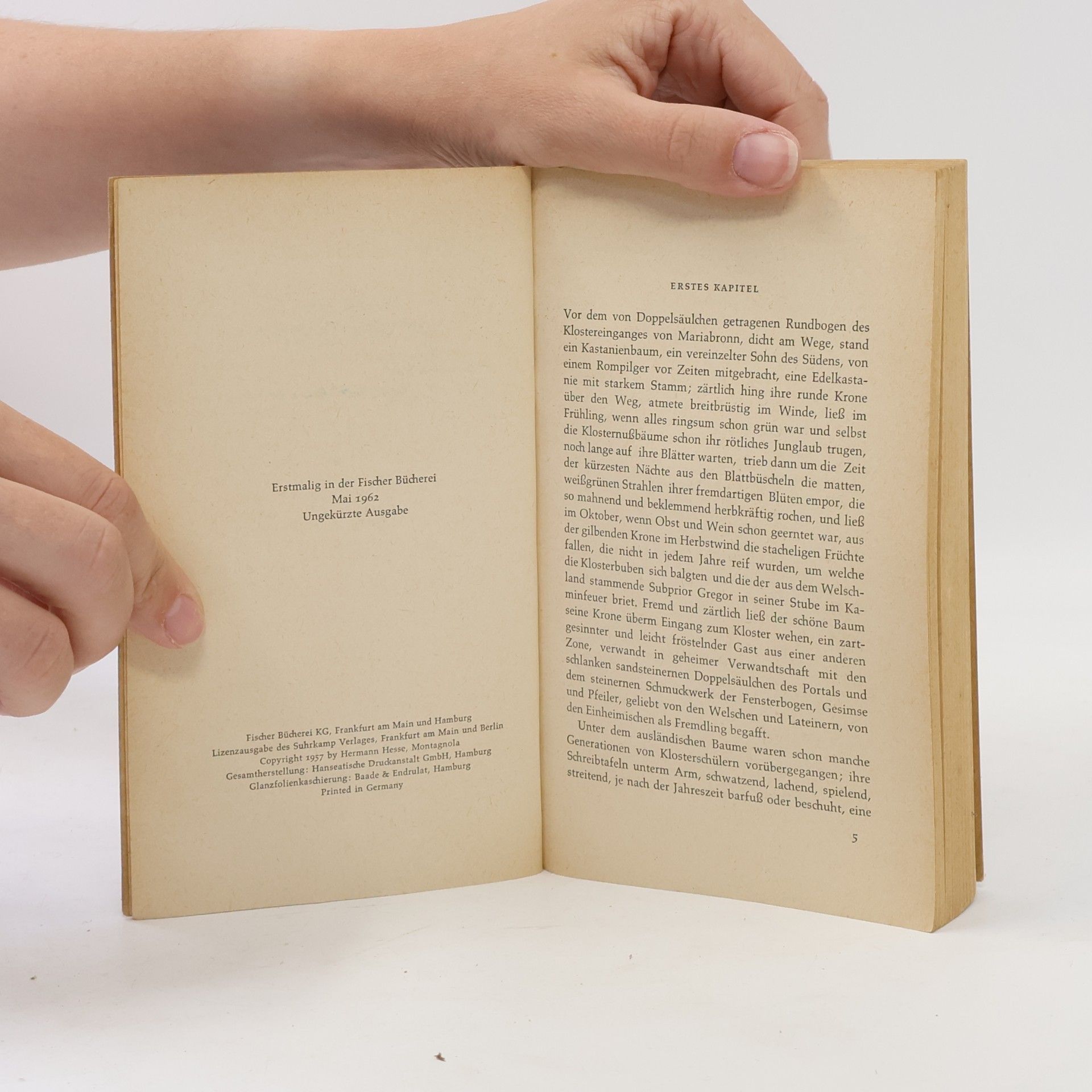Hermann Hesse Narziss und Goldmund
