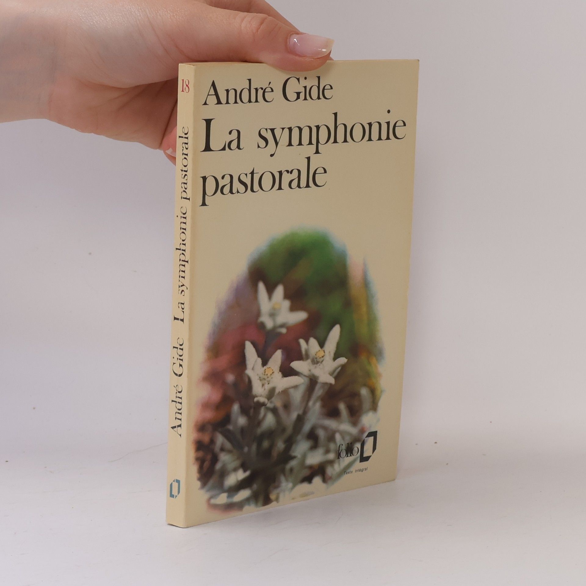 La symphonie pastorale 18.