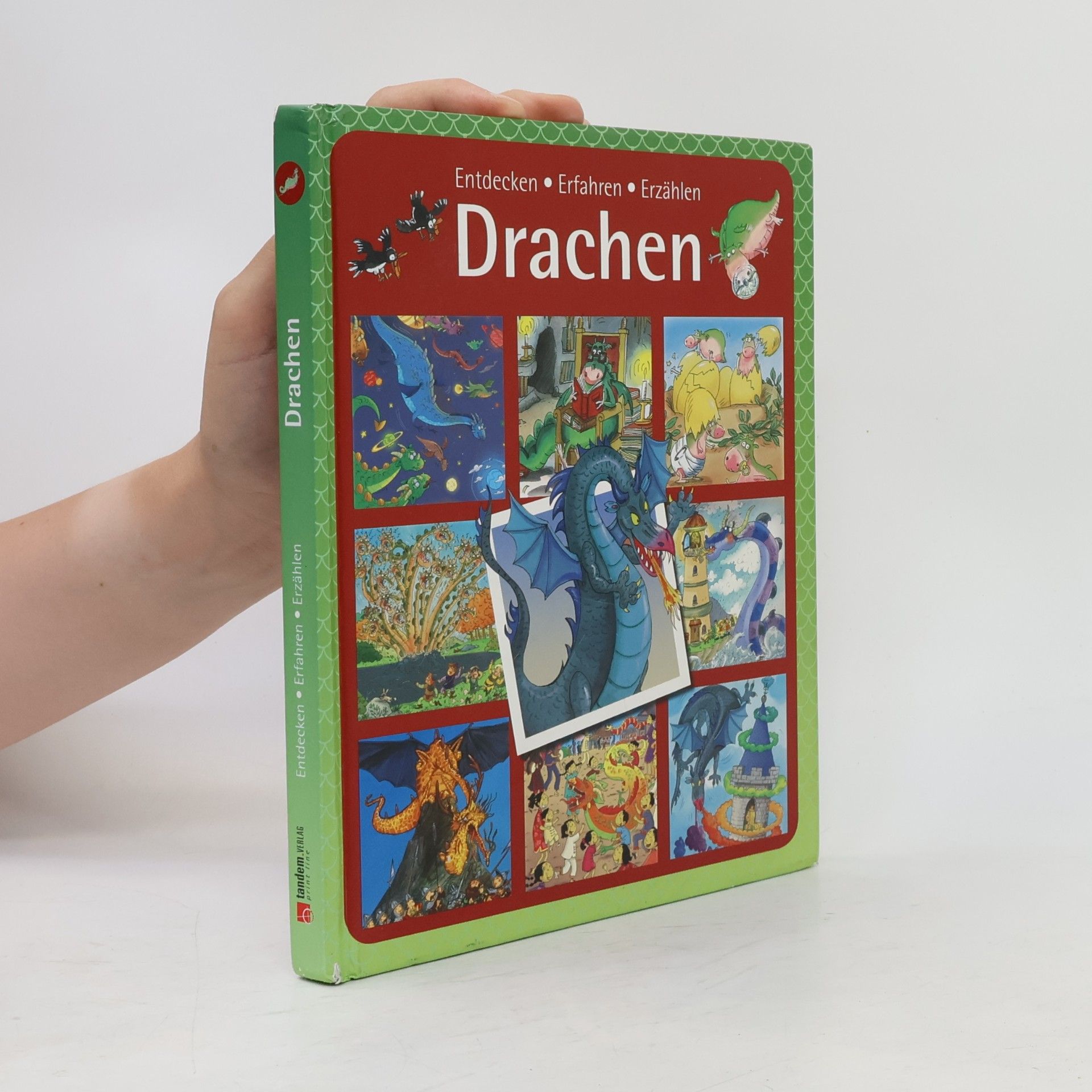 Autorenkollektiv Entdecken Erfahren Erzählen Drachen