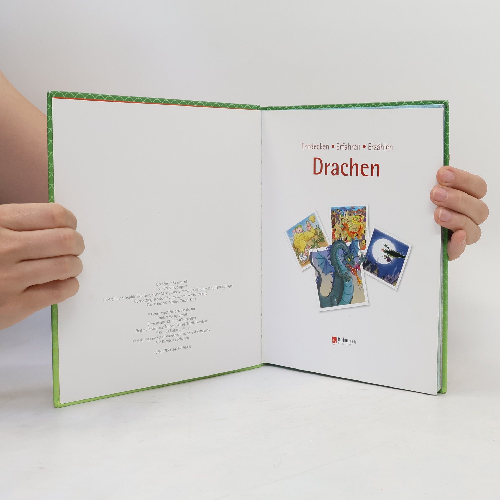 Entdecken Erfahren Erzählen Drachen