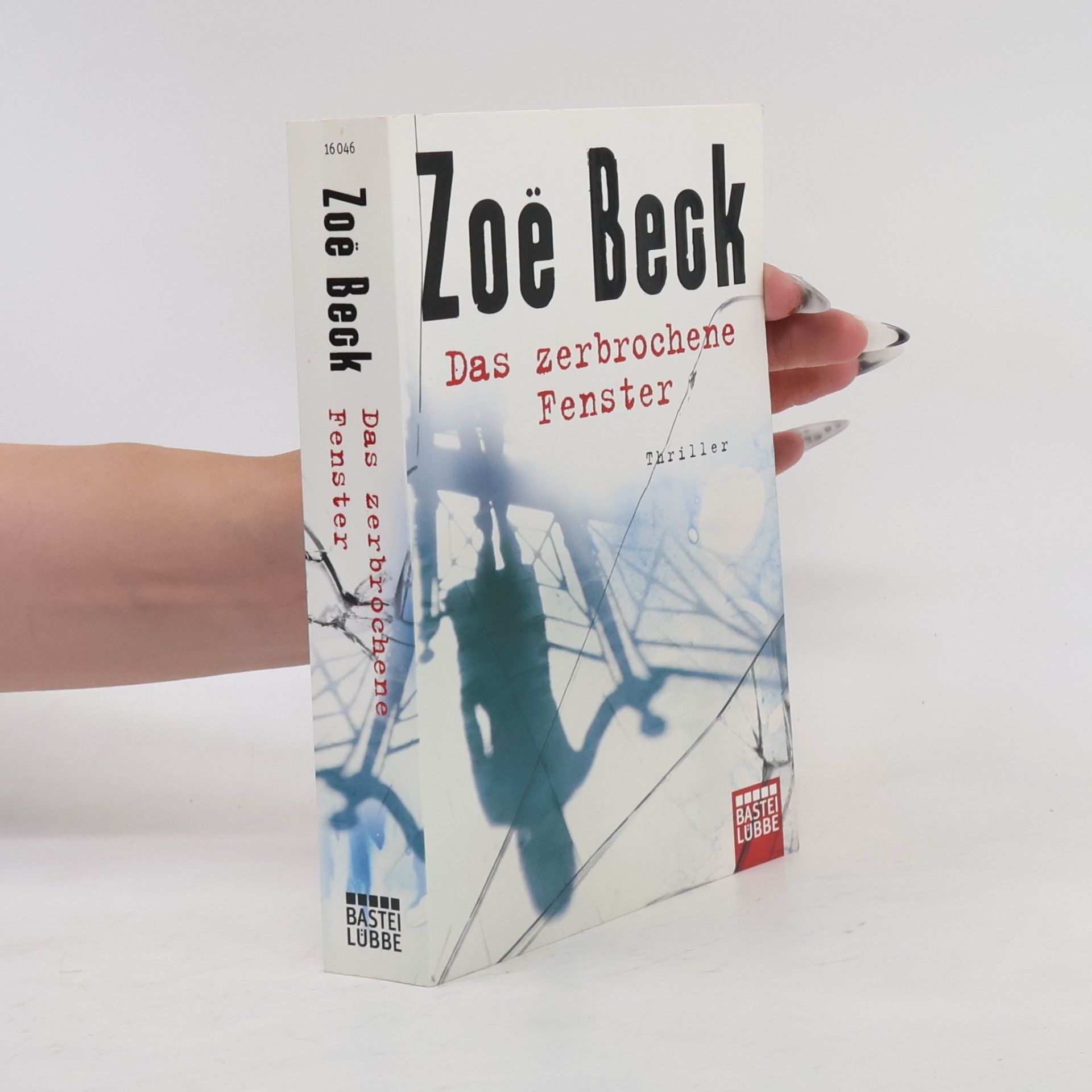 Zoë Beck Das zerbrochene Fenster