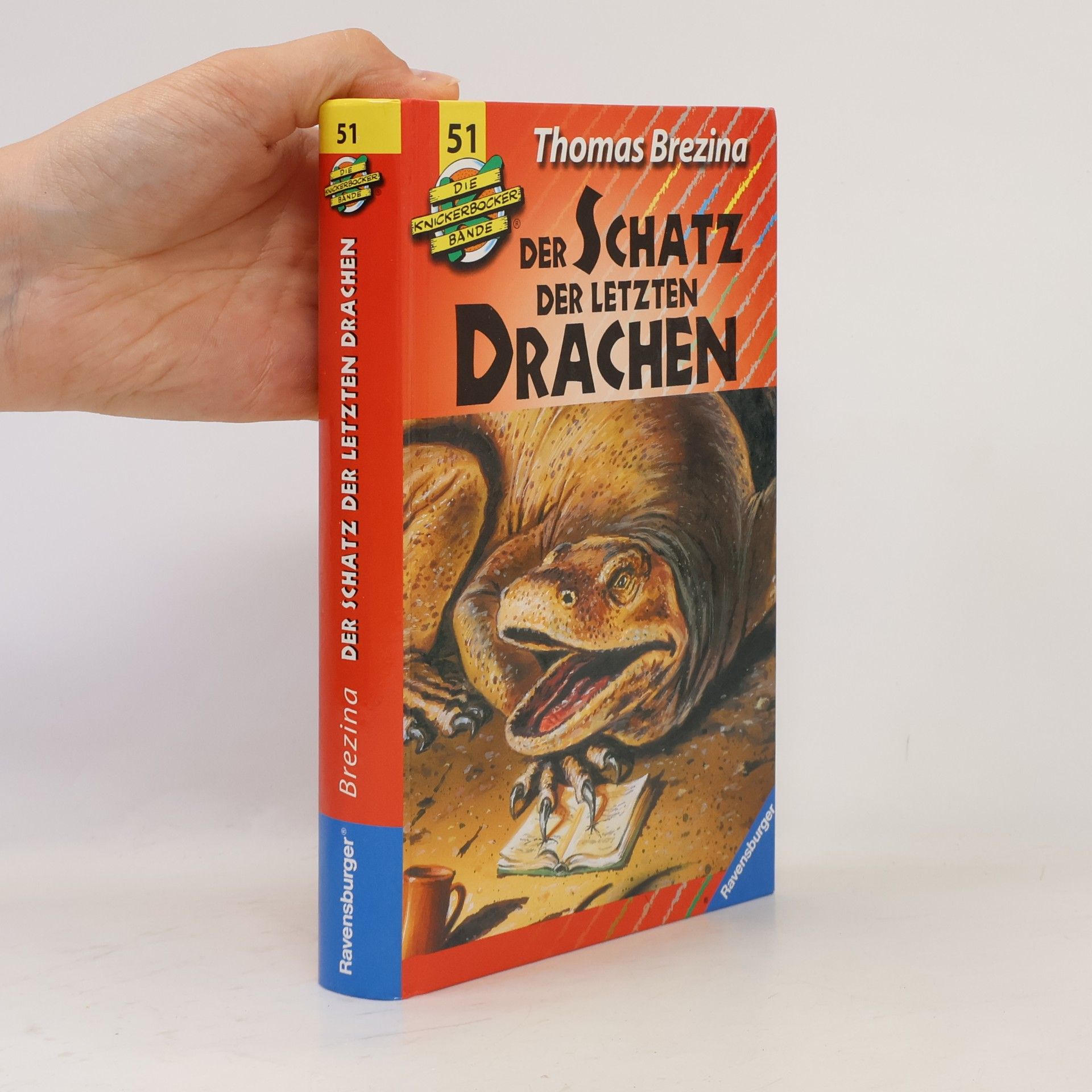 Thomas Brezina Die Knickerbocker-Bande: Der Schatz der letzten Drachen